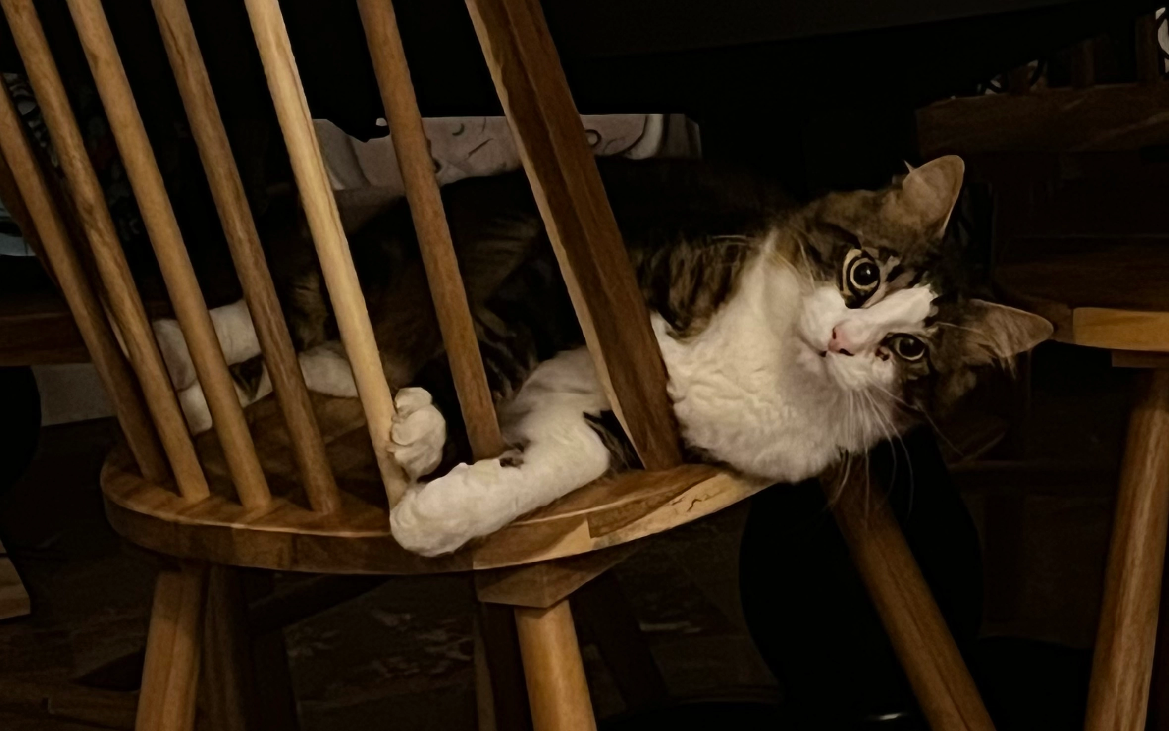 Neko - Πόντου, Drossia