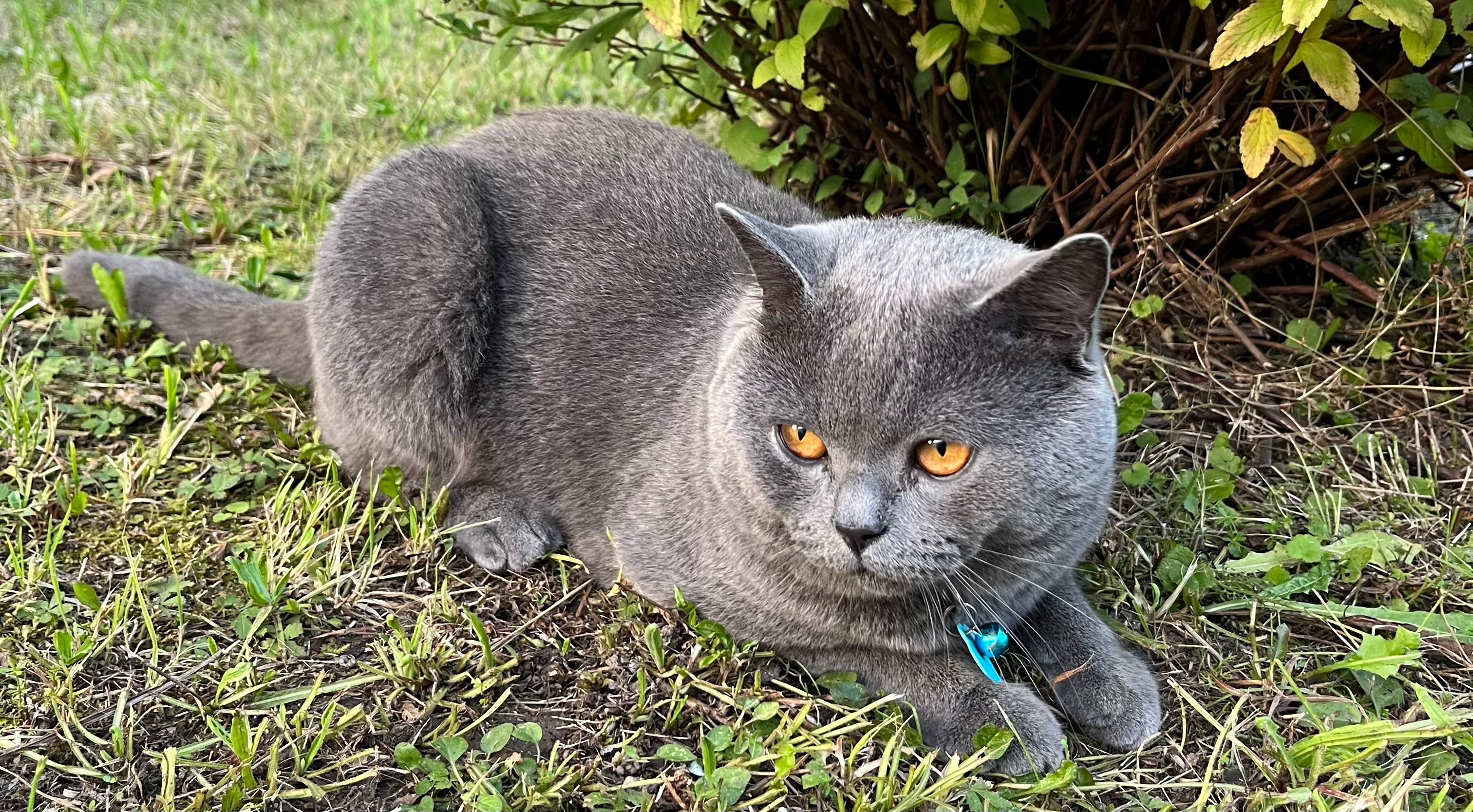 Basik - Burgfeldstraße, Deggendorf