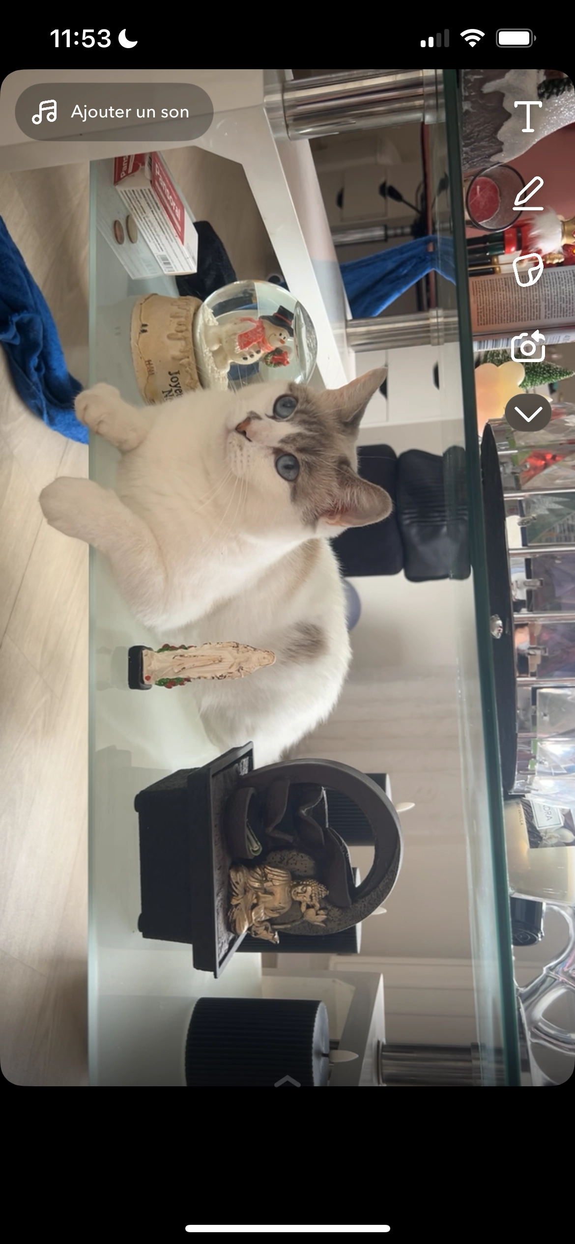 Pompom - Résidence La Côte du Parc, Les Andelys