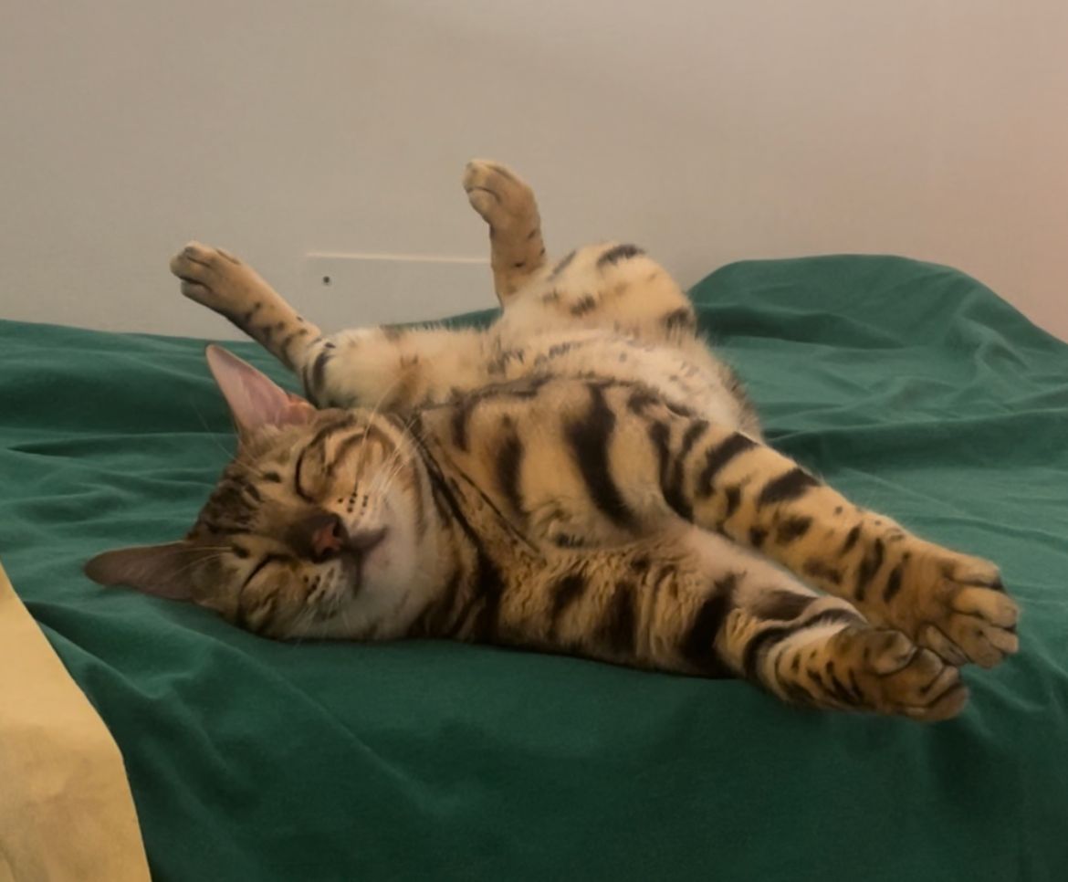 Rin  - Carrer Currica, Altea