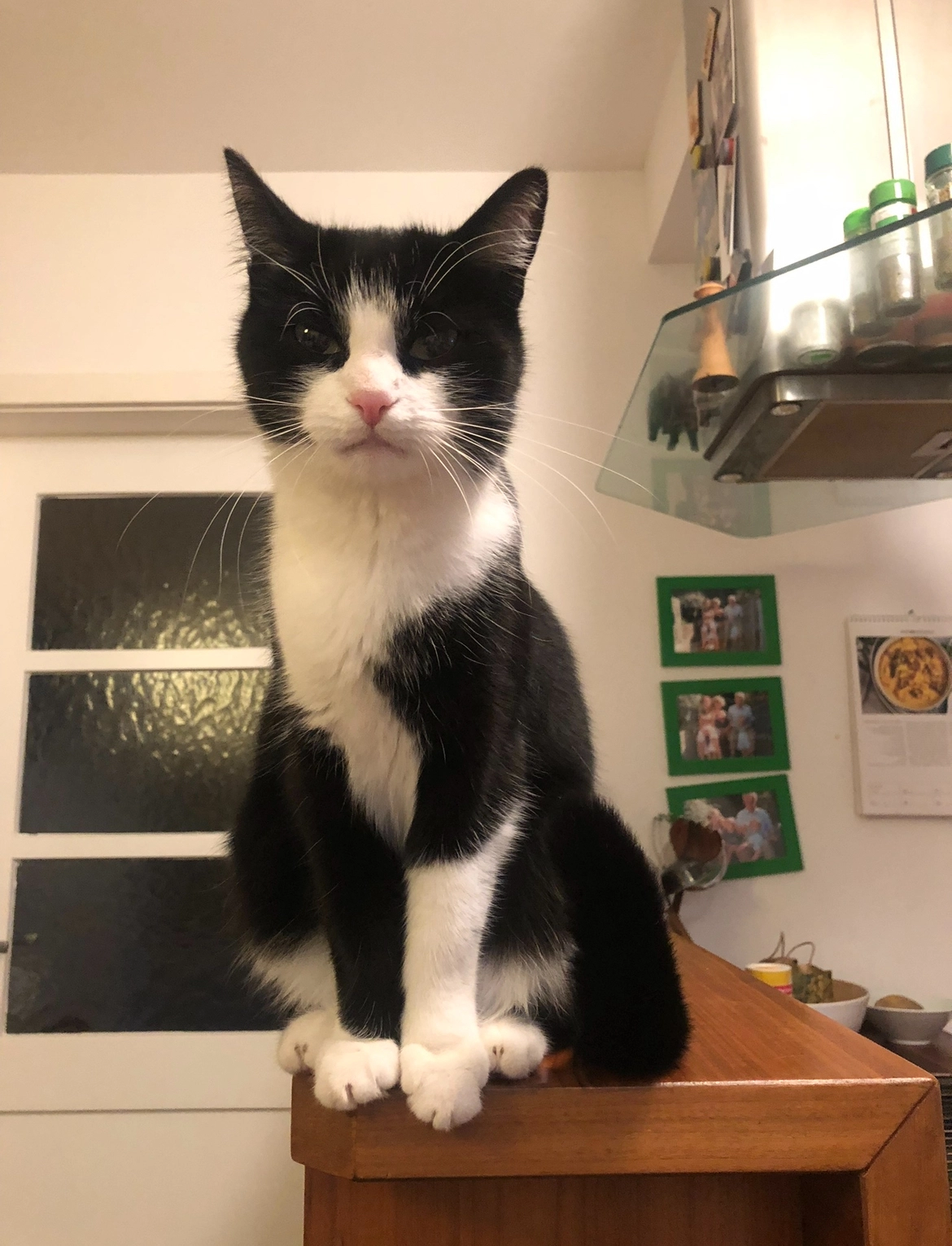 Luzie - Karlstraße, Tamm