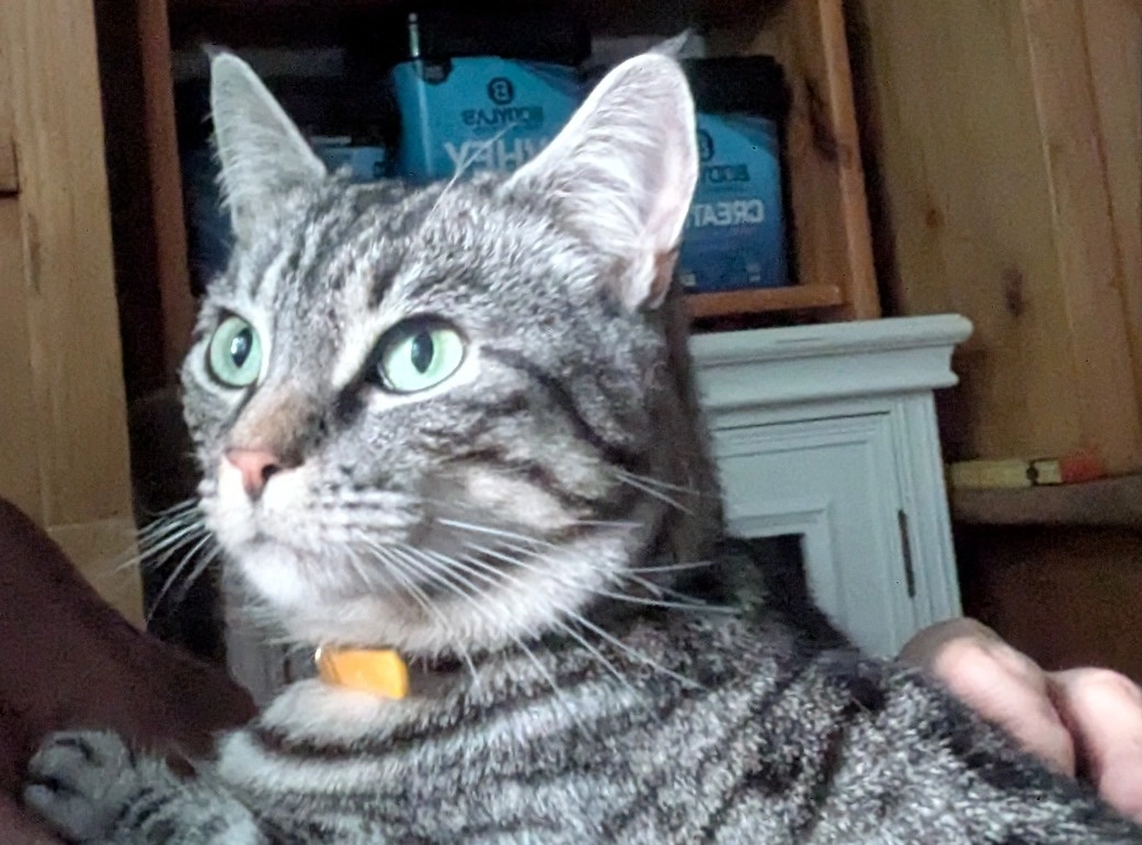 Minou - Plantagenweg 12, Storkow