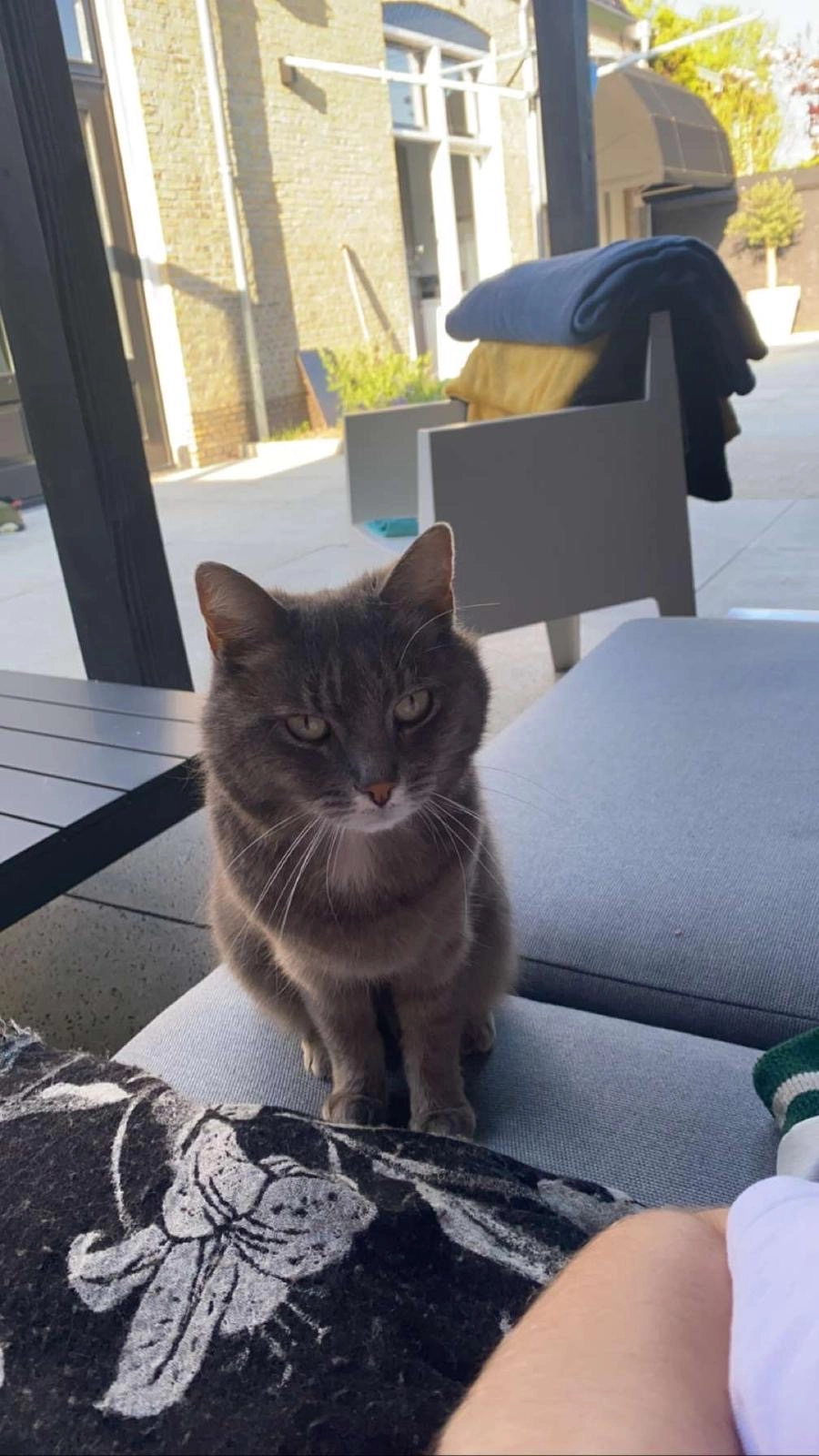 Snoes - Brêgebuorren, Dronrijp