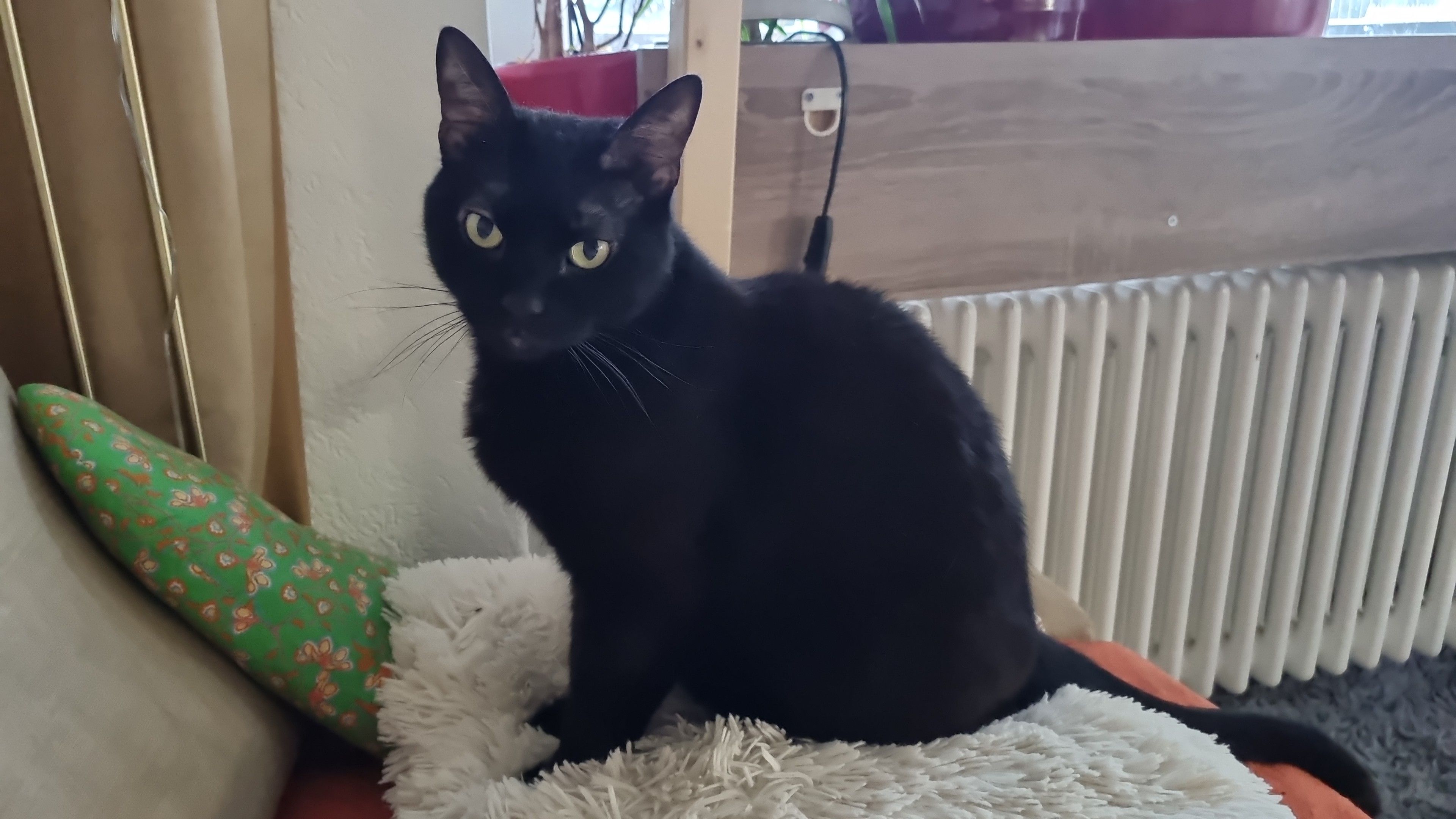 Diva - Allerheiligenstrasse 218, Grenchen