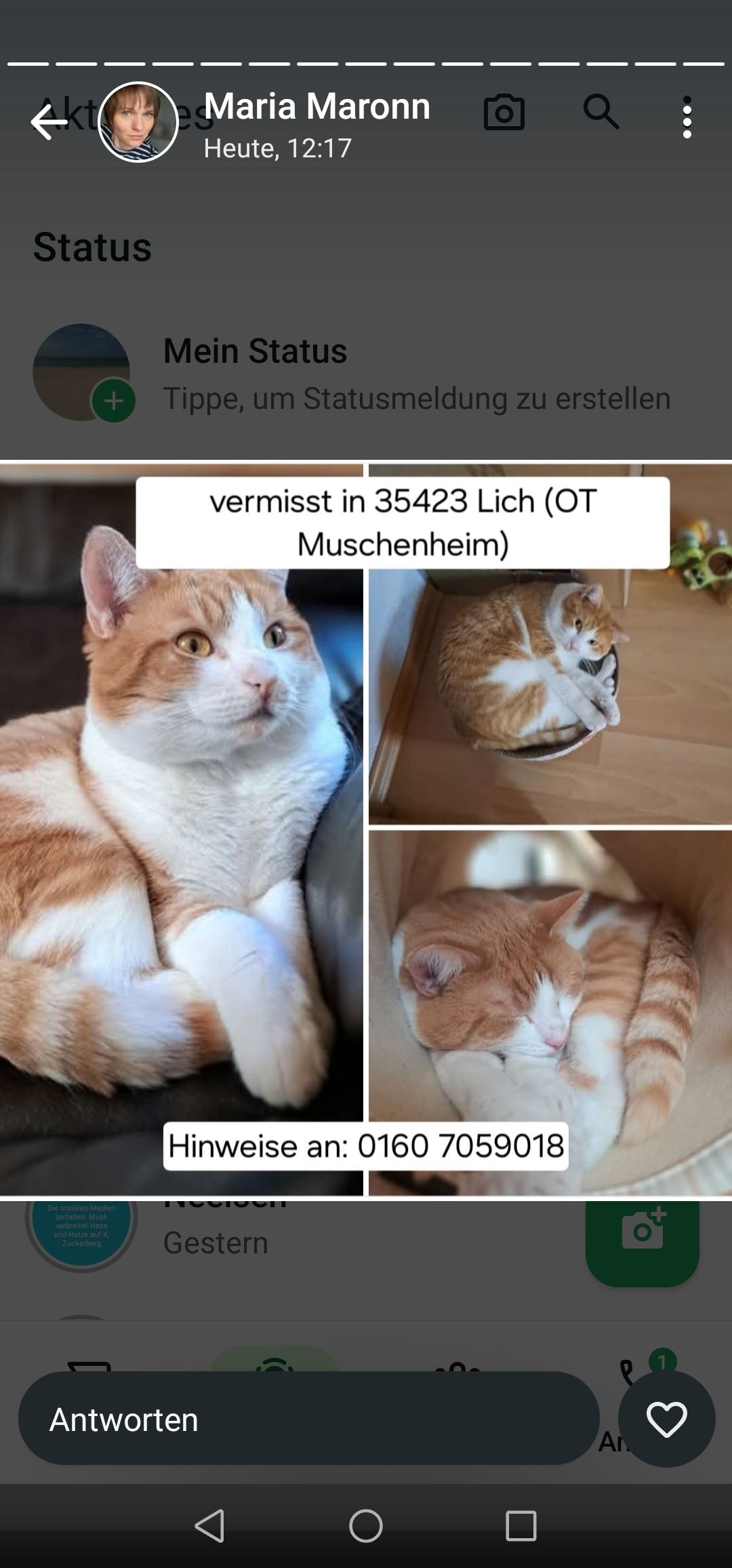 Anton - Pfarrgarten, Lich