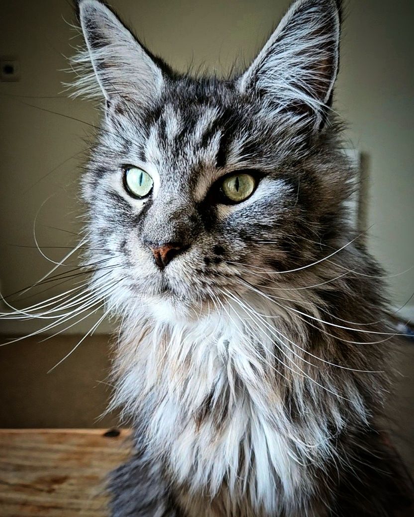 Ragnar - Byerworth Lane South, Preston