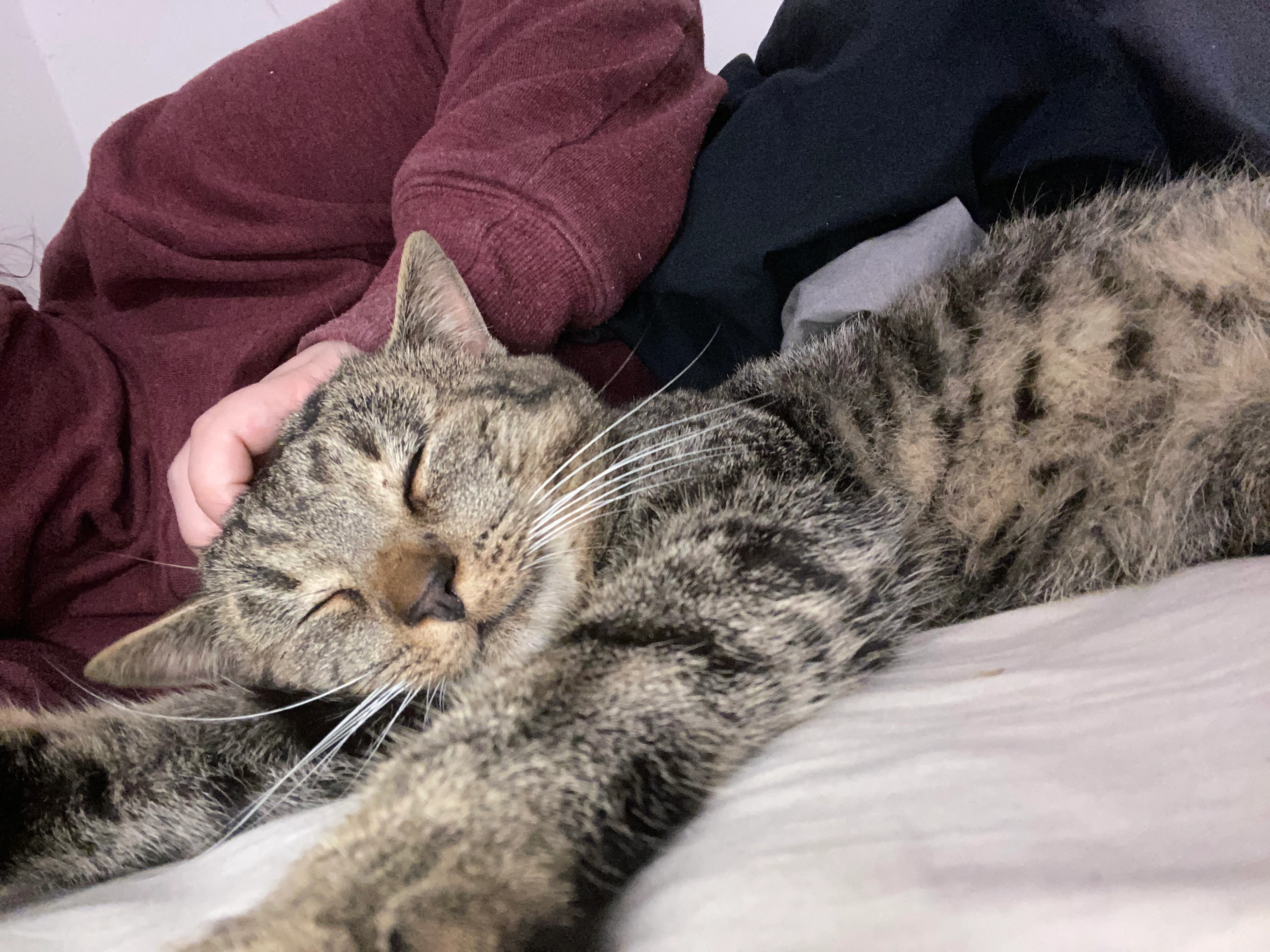 Čímánek - Podnádražní, Prague