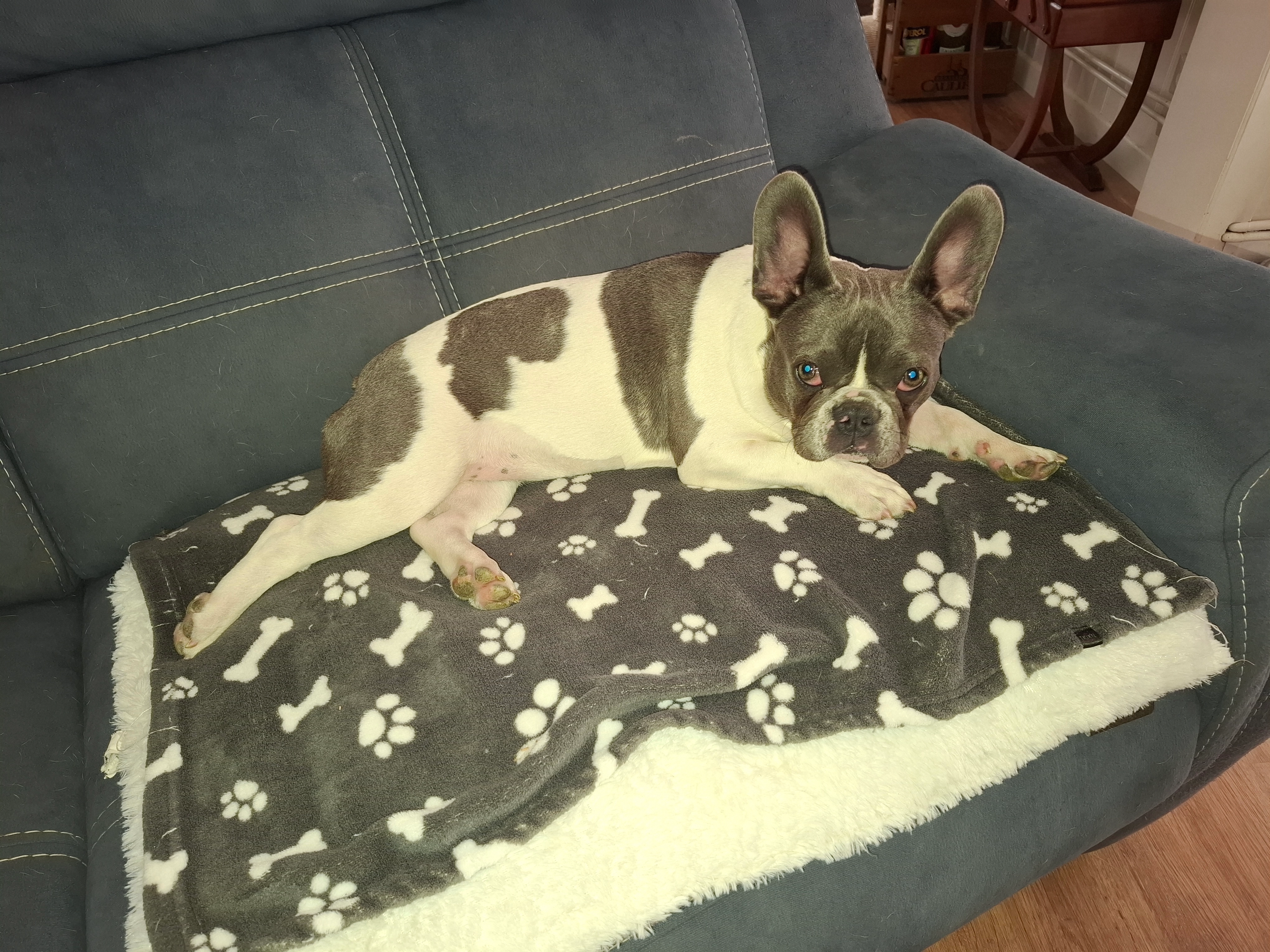 Homie - Rue Saint-Laurent, Bertrange