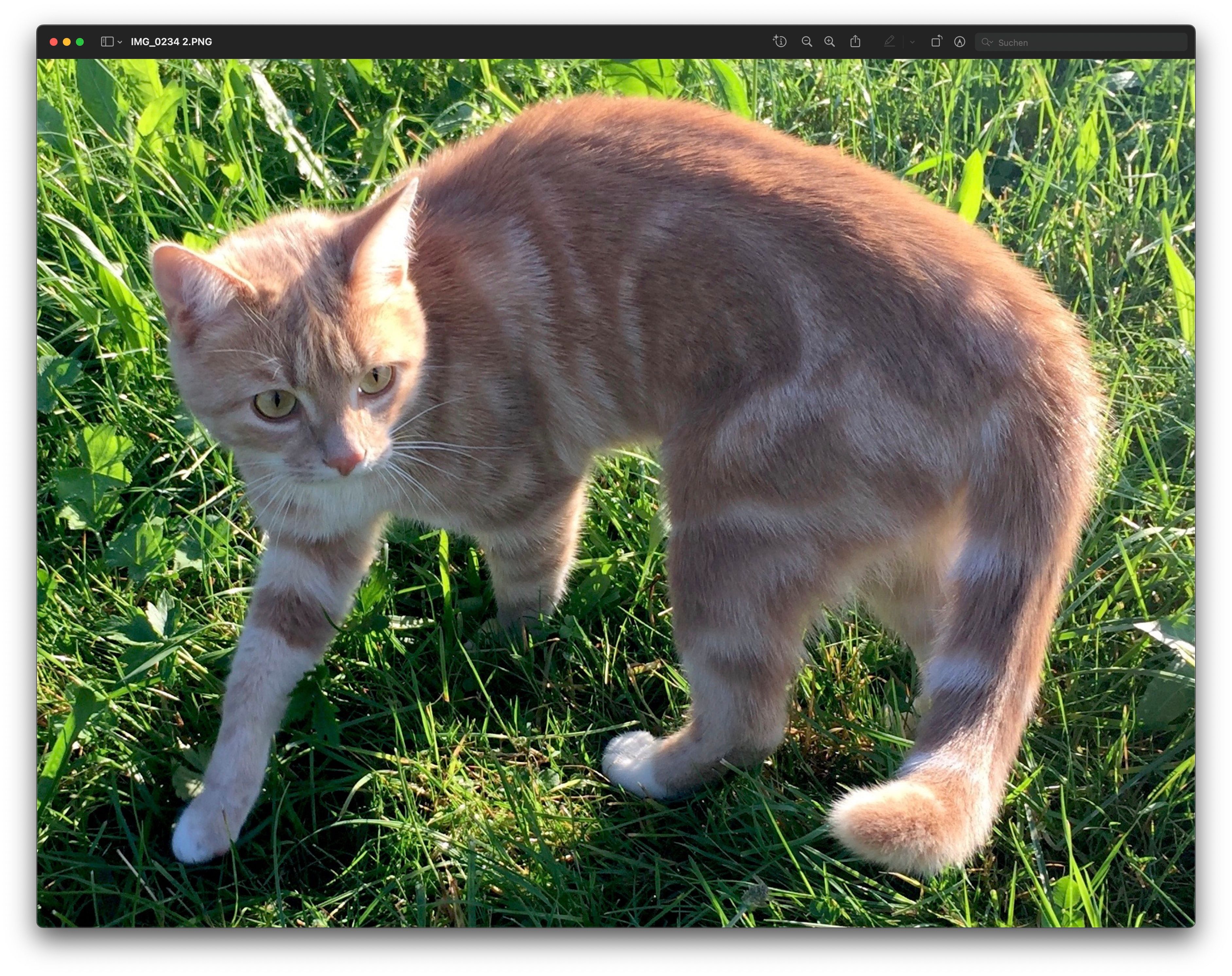 Nestroy - Parzingerstraße, Traunstein