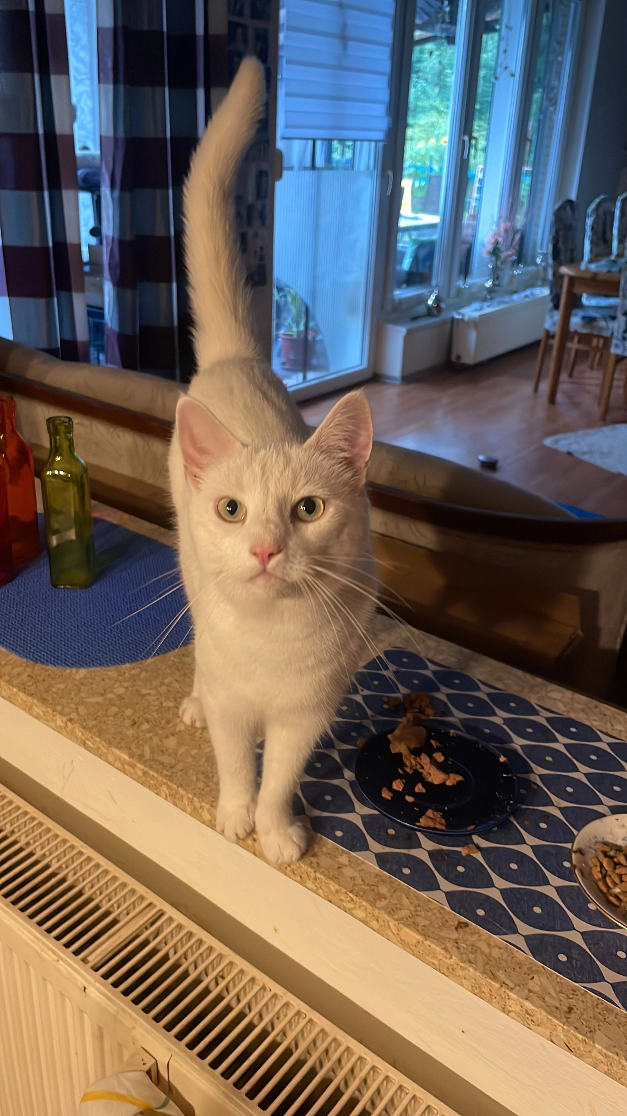 Luna - Hammersbecker Straße, Bremen