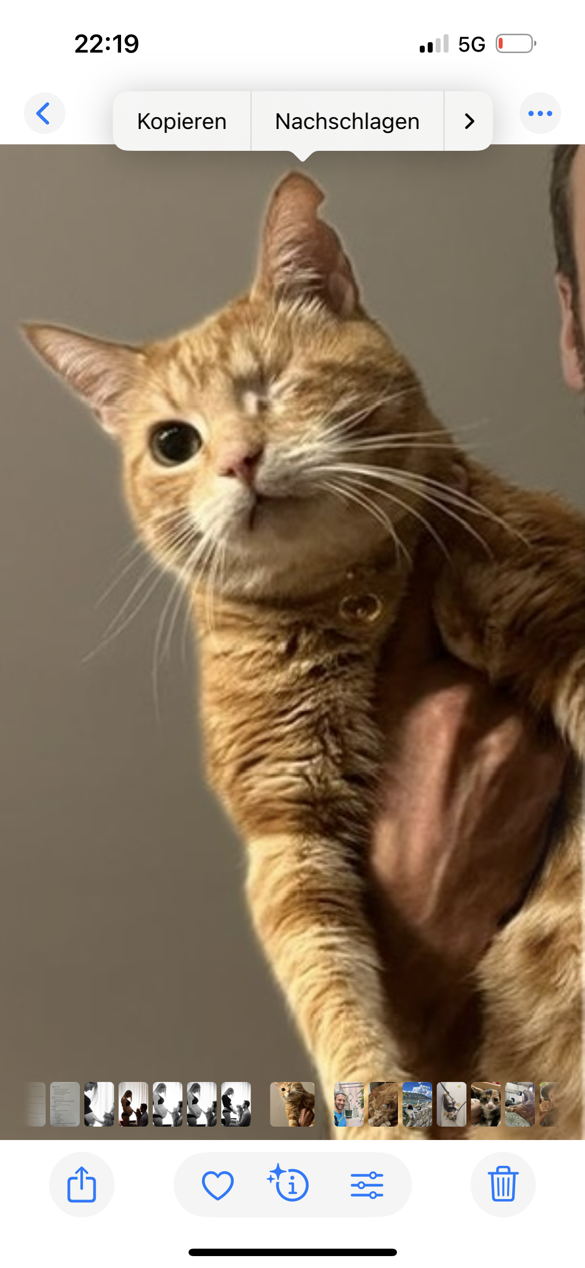 Seth - Innsbrucker Straße, Kematen in Tirol