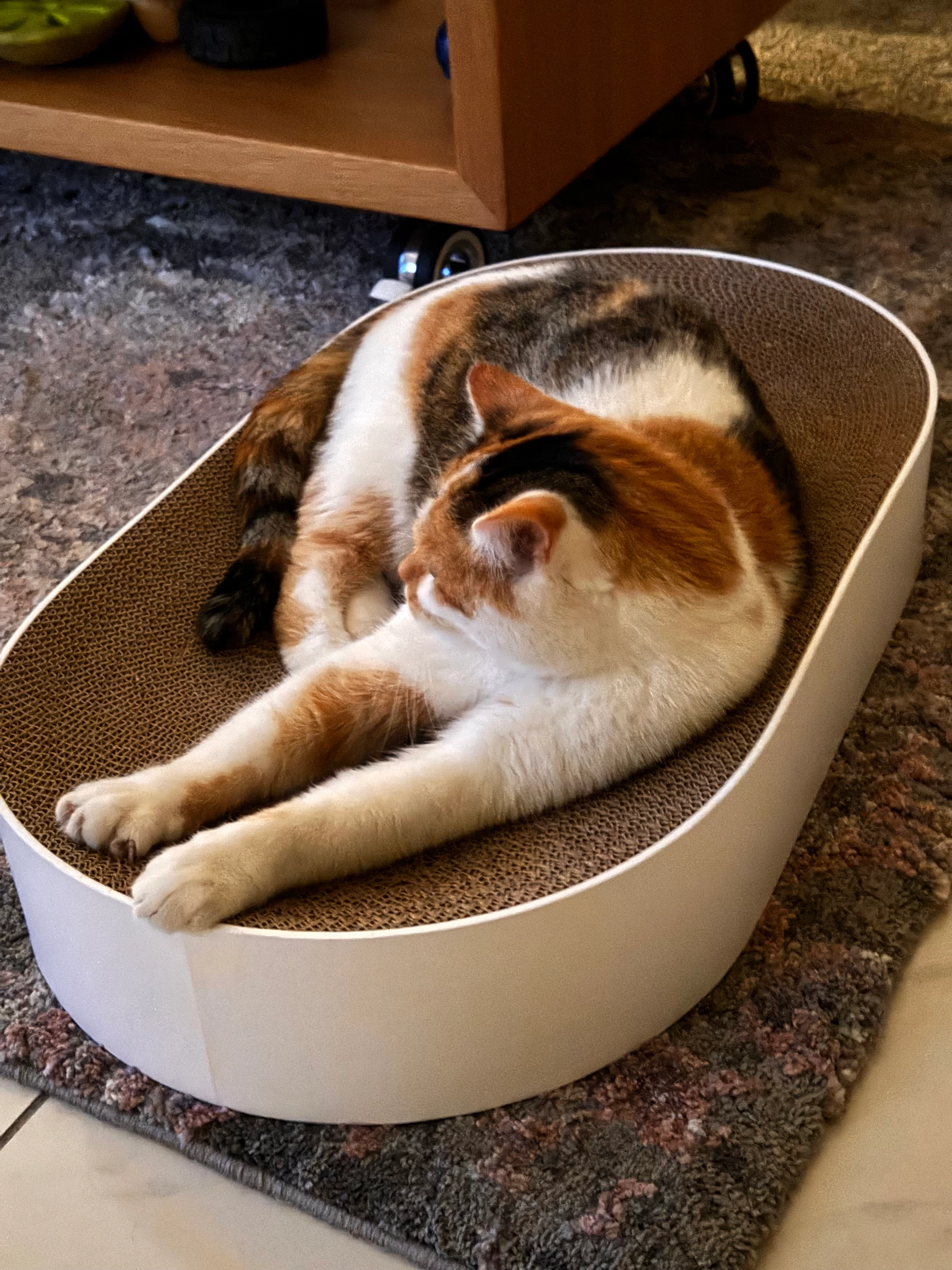 Nala - 23823, Seedorf