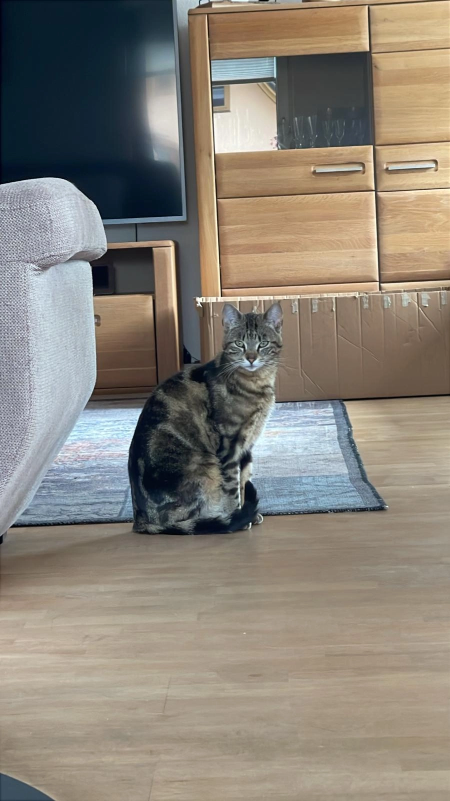 Seppi - L.-M.-Kluftingerstraße, Bad Grönenbach