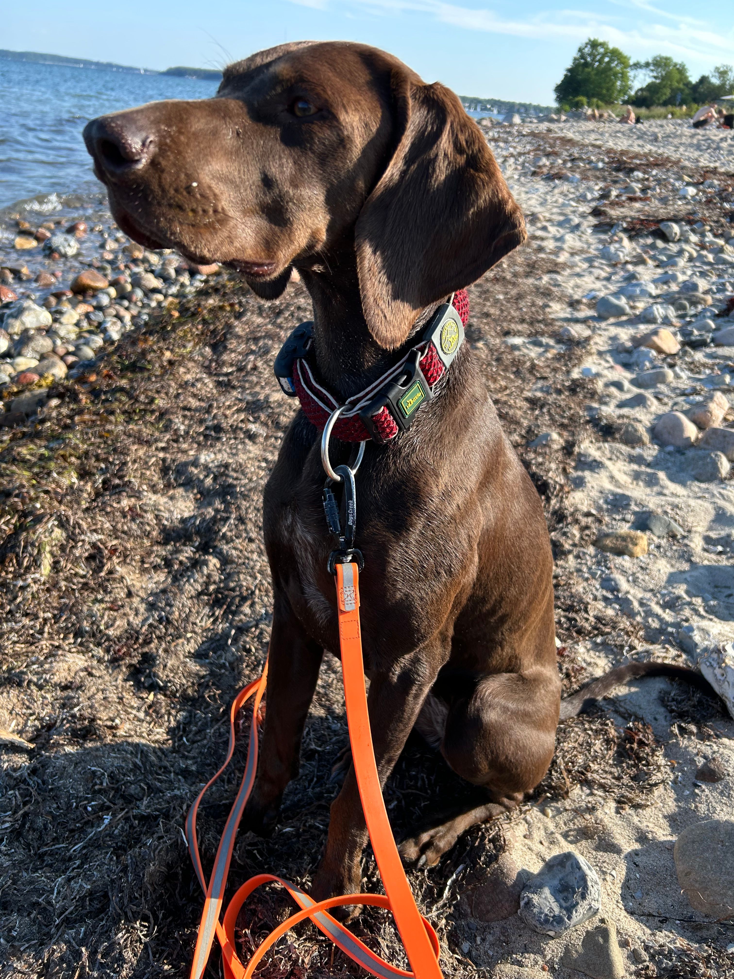 Manja  - Hüttenweg, Berlin