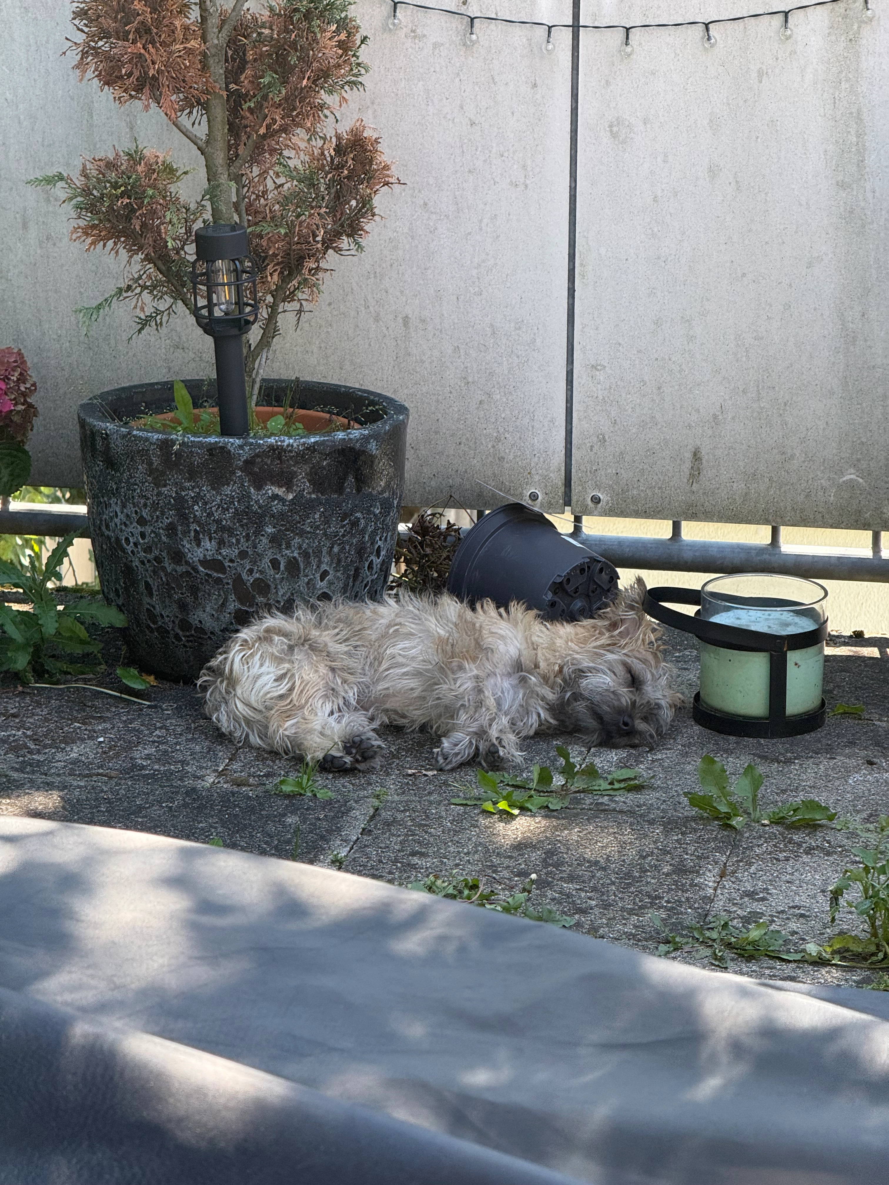 Odin - Vogtsbergstraße, Nürnberg