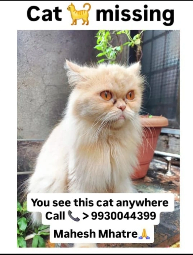 Kittu - Patharli Road, Tilak Nagar