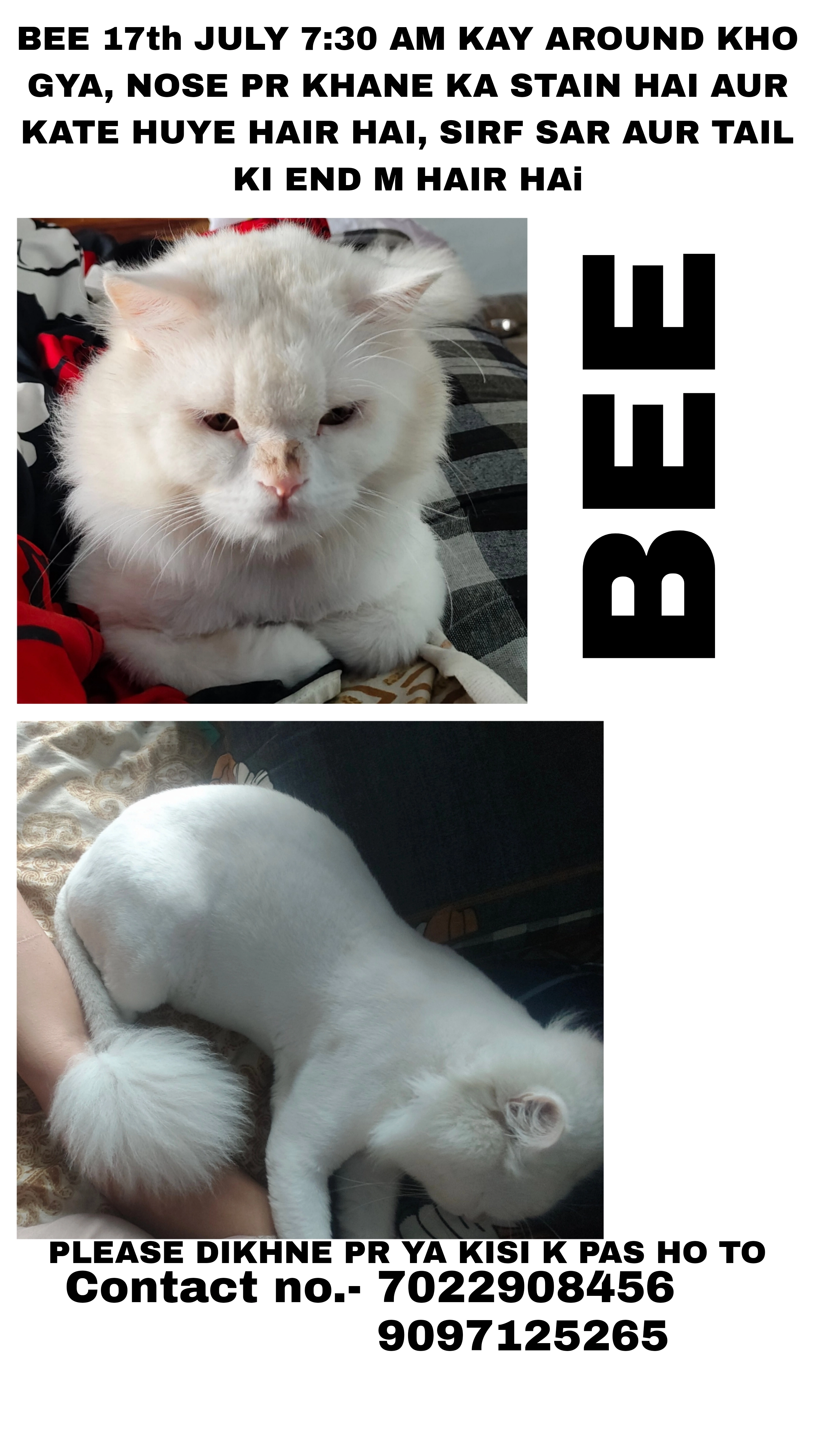 BEE - Mdr, Sampatchak