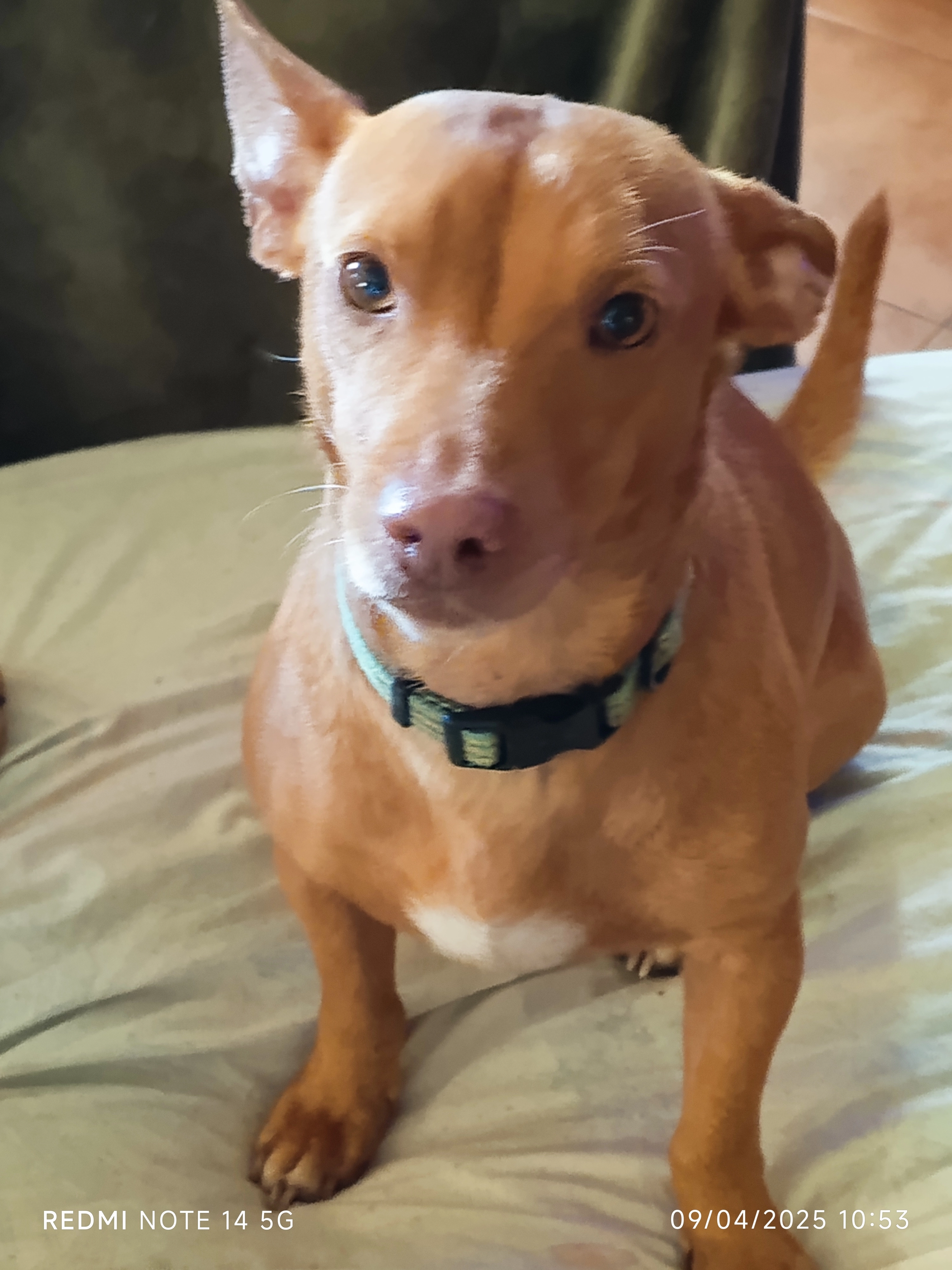 Kal - Calle Turquesa, Córdoba