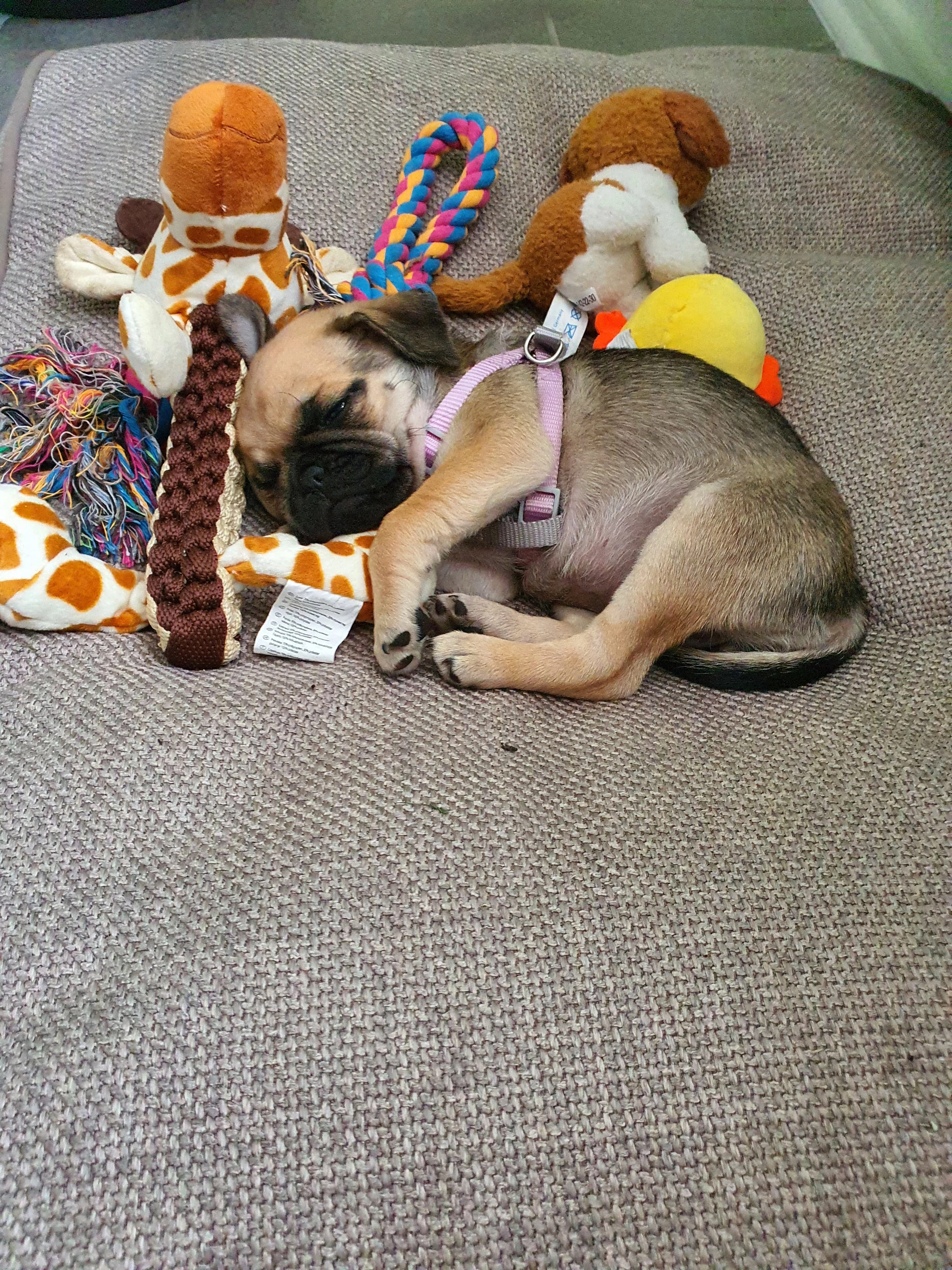 Lilly - Bahnhofstraße, Kabelsketal