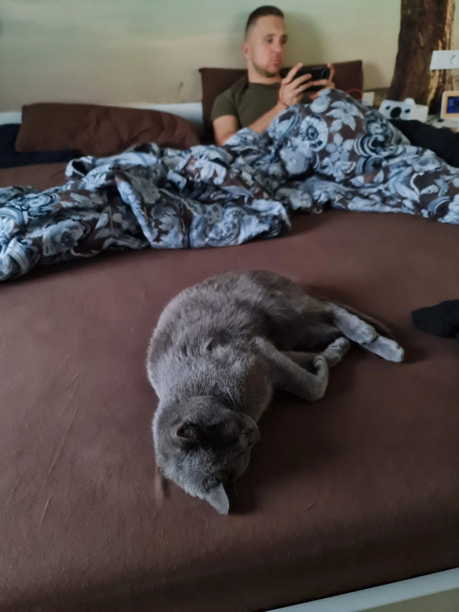 Aquilo - Eppenreuther Straße, Hof