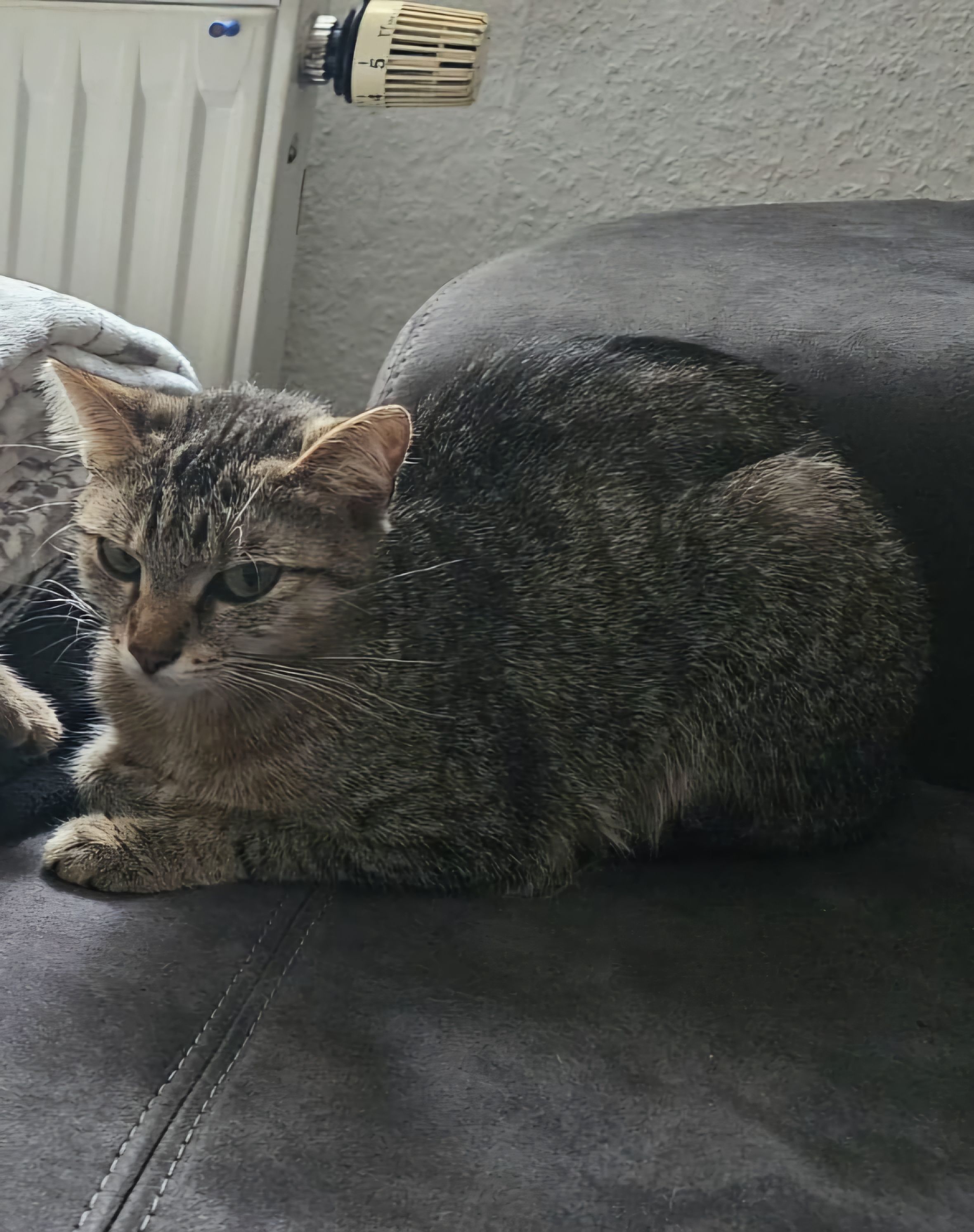 Luna - Bergstraße, Salzatal