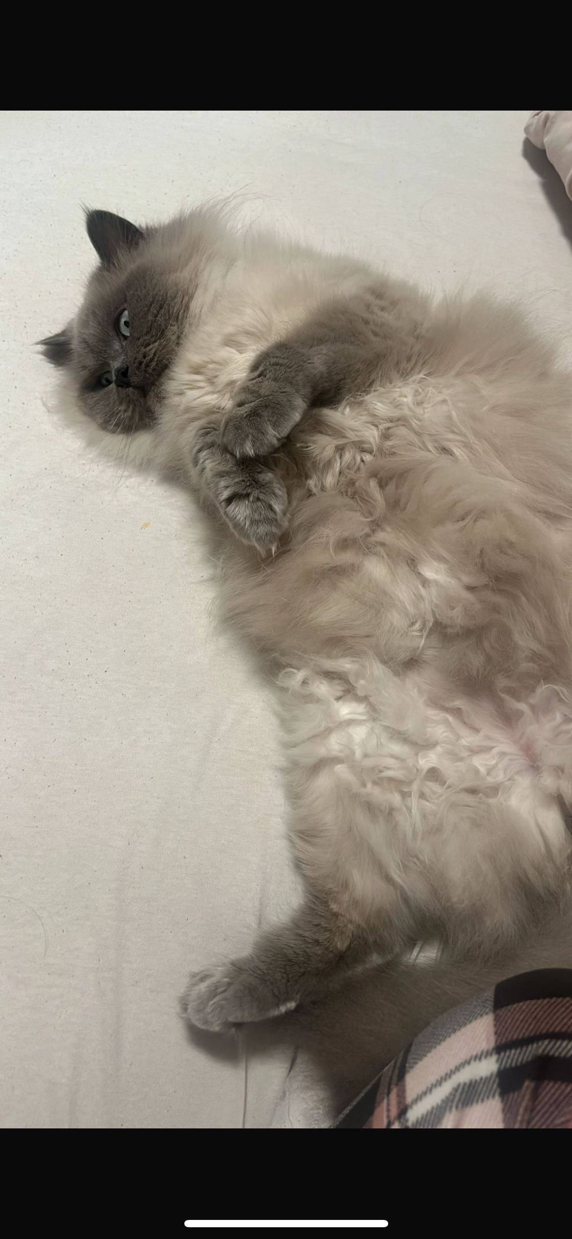 Midas - Siedlungsweg, Hildesheim