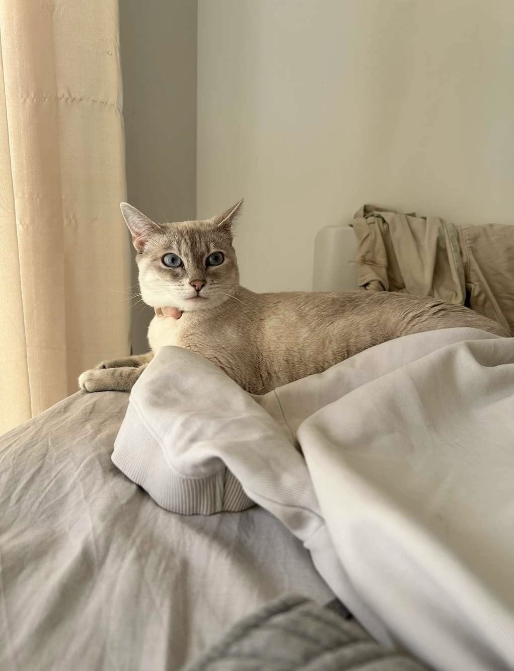 Princesse - Avenue Jules Isaac, Aix-en-Provence