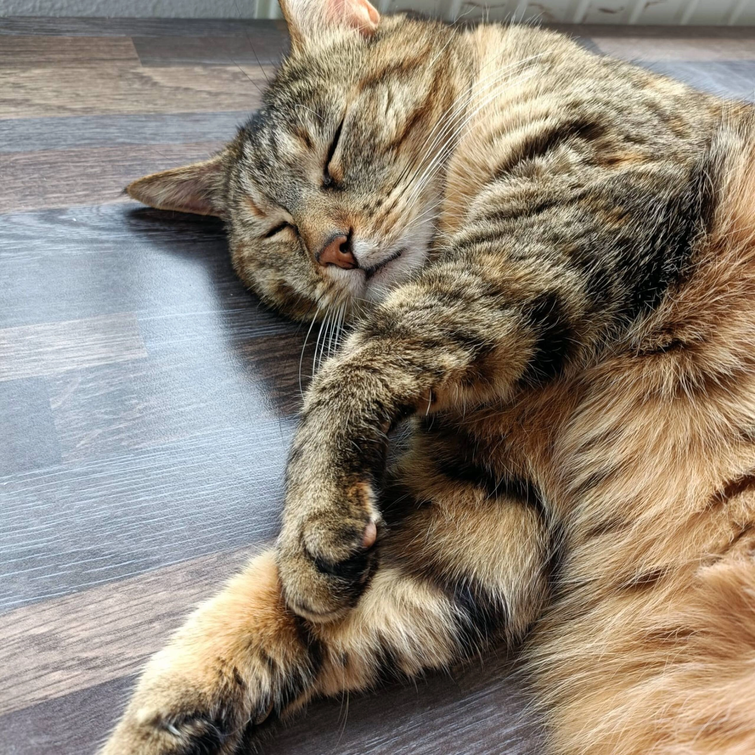 Nutsy - 11 Impasse Waldeck-Rousseau, Arles