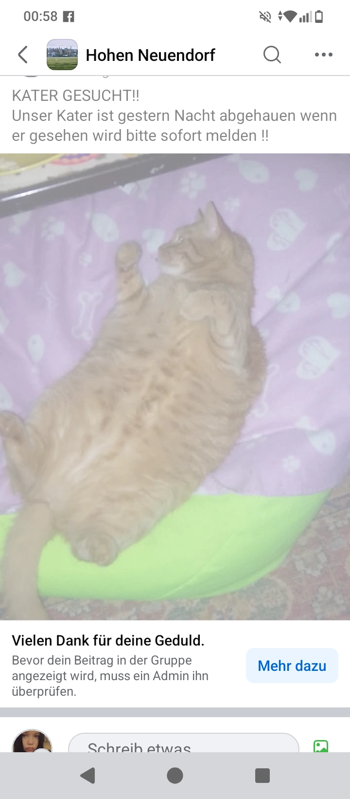 Diddi - Birkenwerderstraße, Hohen Neuendorf