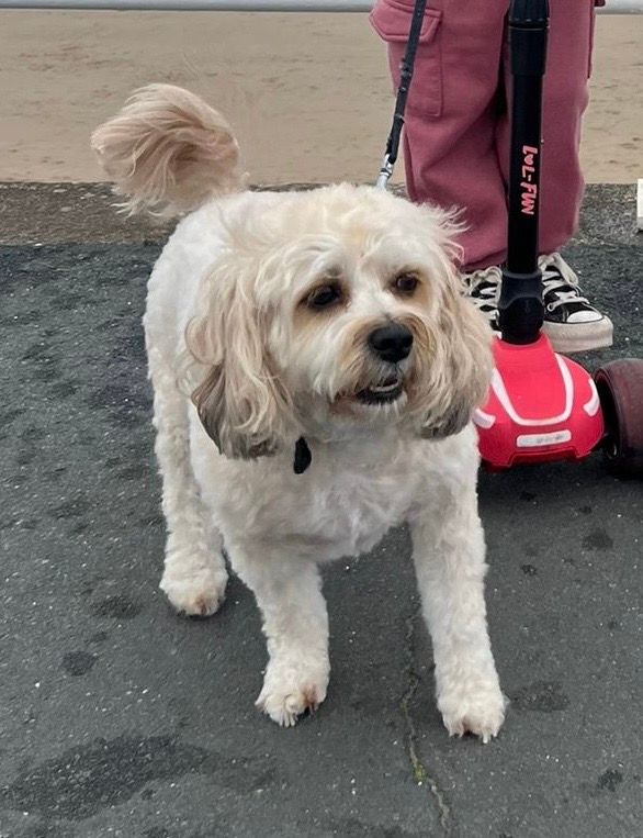 Nora - Fothergill Street, Aberdare