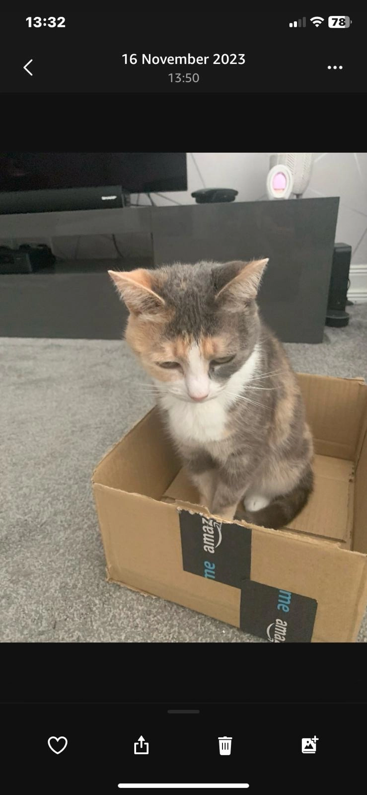 Maddie - Byron Street, Dundee