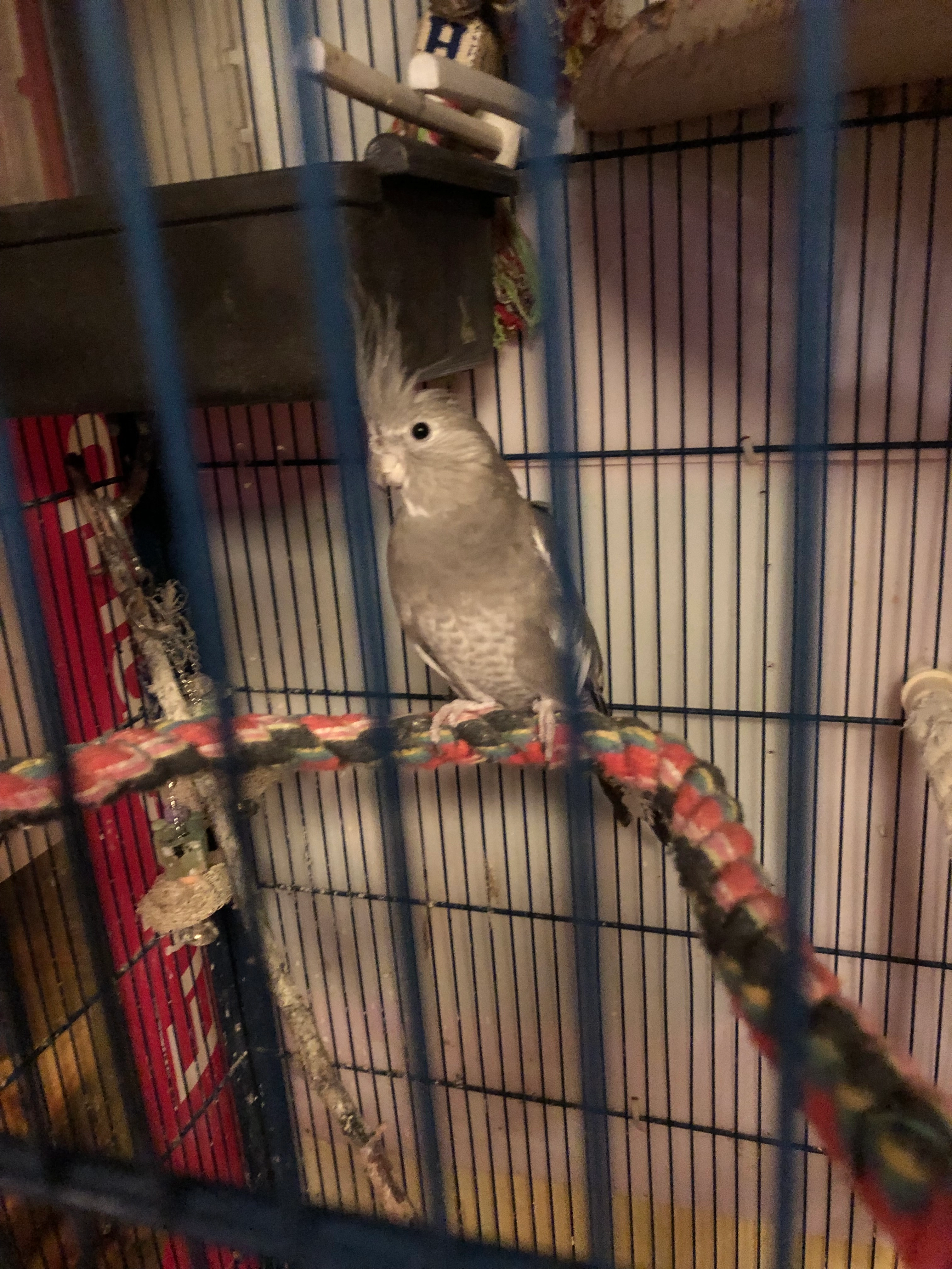 Pepette - Laprat, Saint-Étienne-la-Varenne