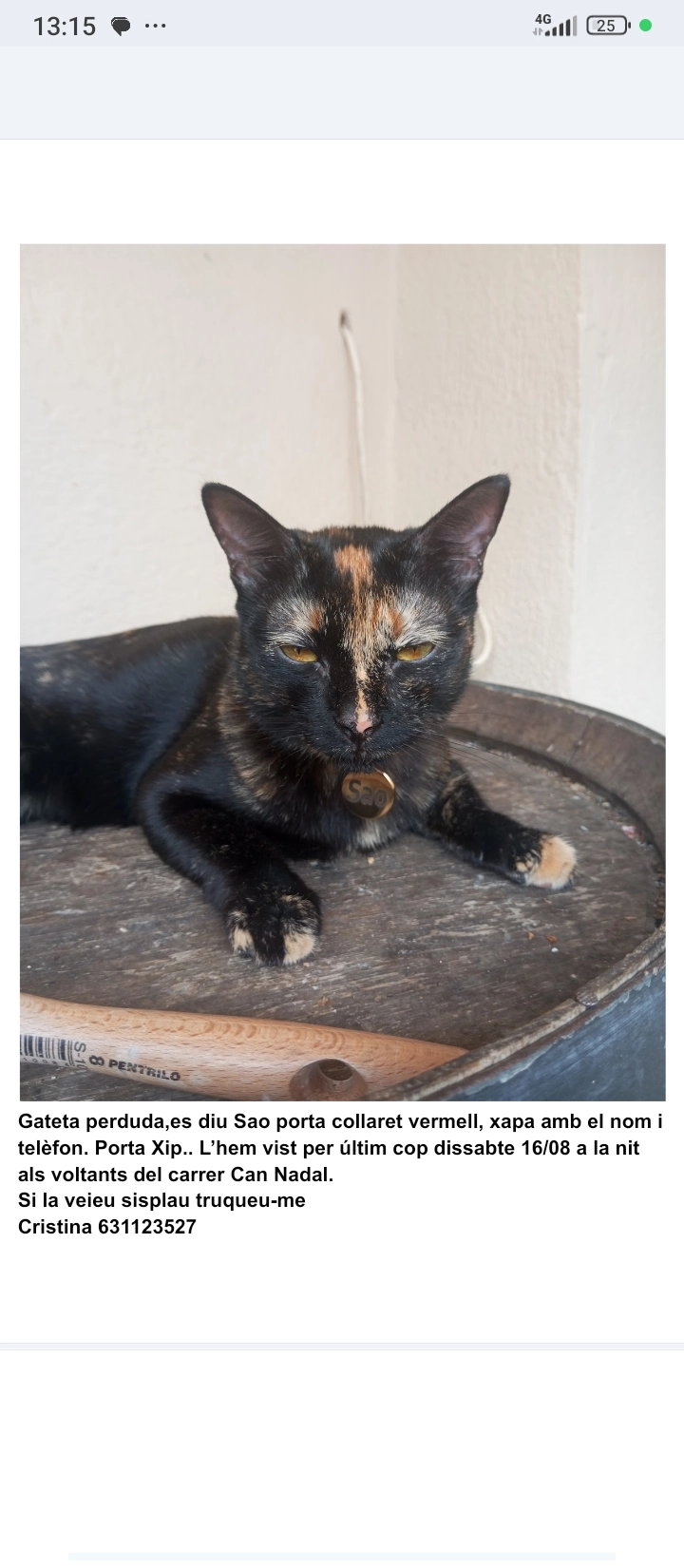 Sao - Calle Can Nadal, Teià