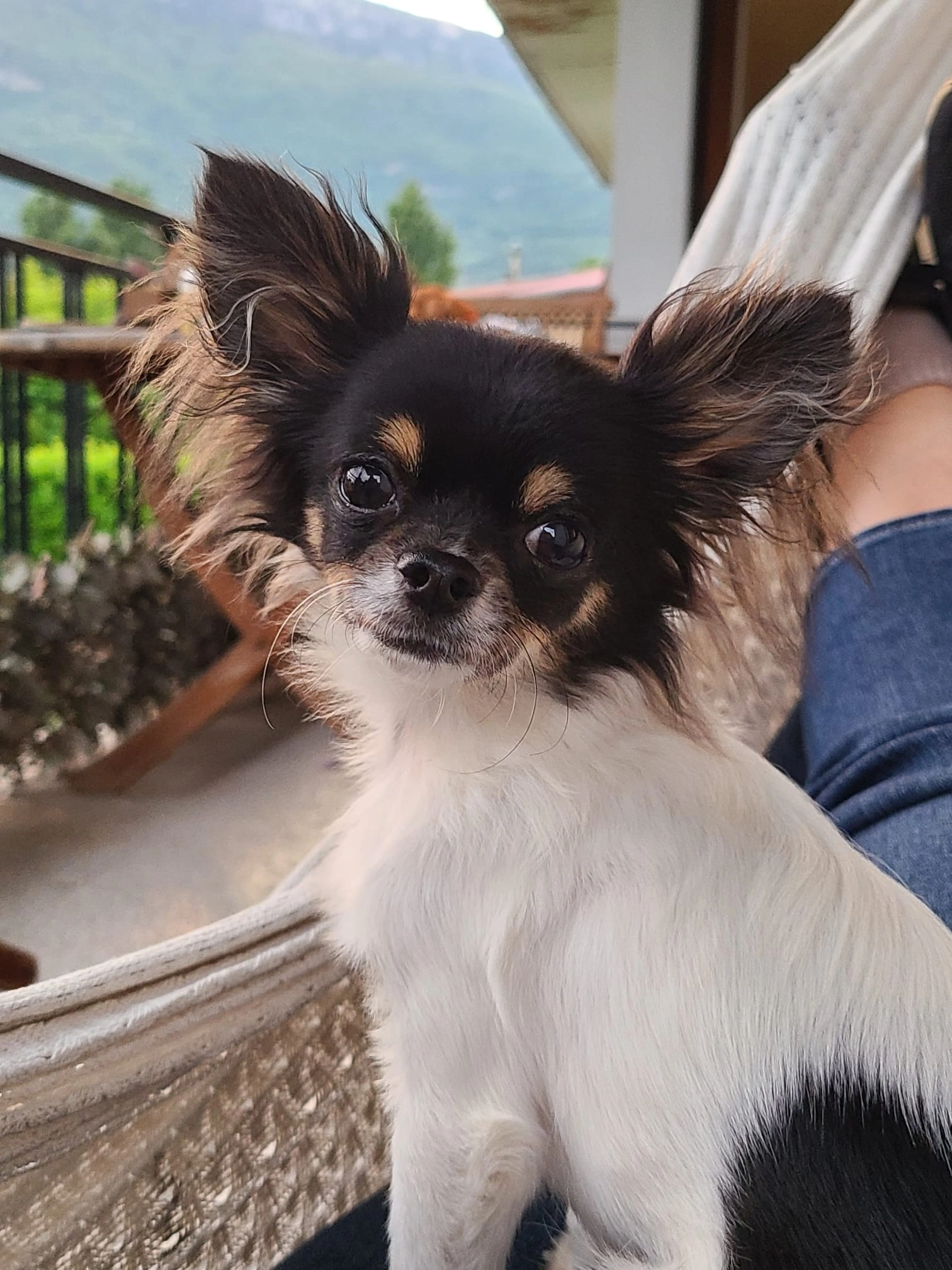 Moustiko - 2 Rue du Colonel Fabien, Échirolles