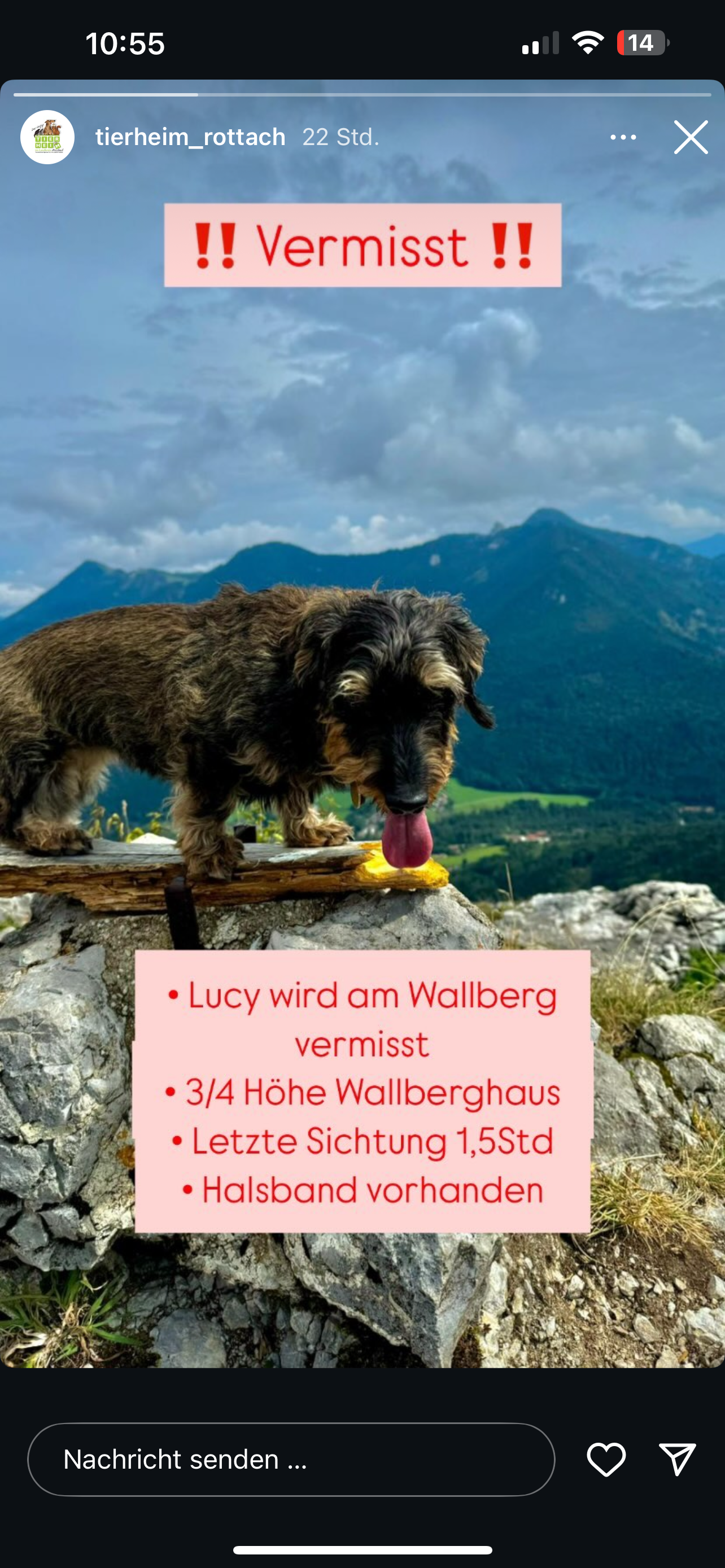 Lucy - Wallbergstraße, Gmund am Tegernsee