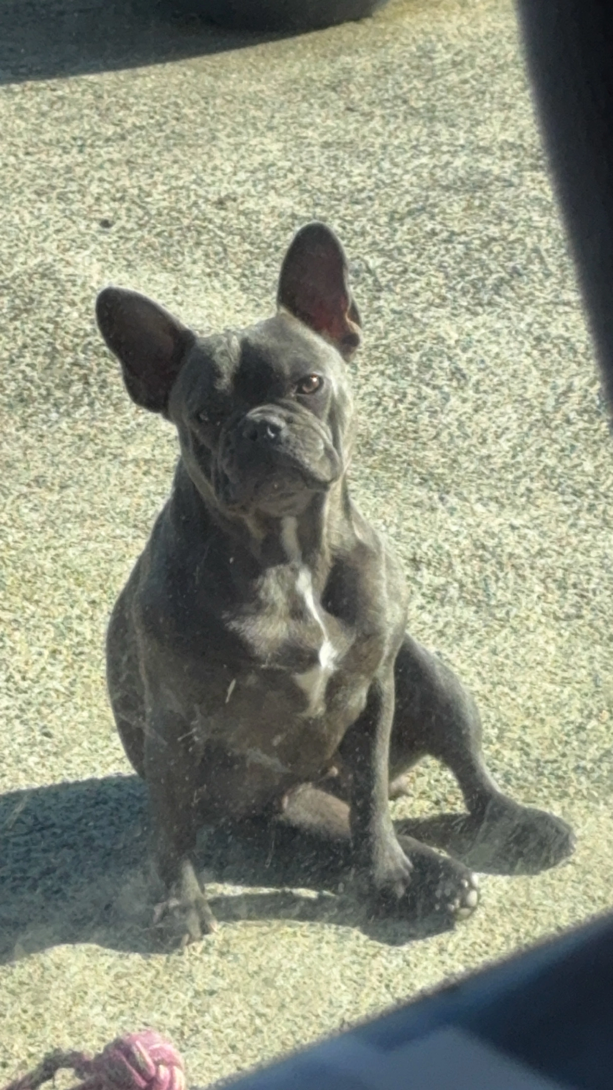 Vaïa - 6 Park Rouzig, Concarneau