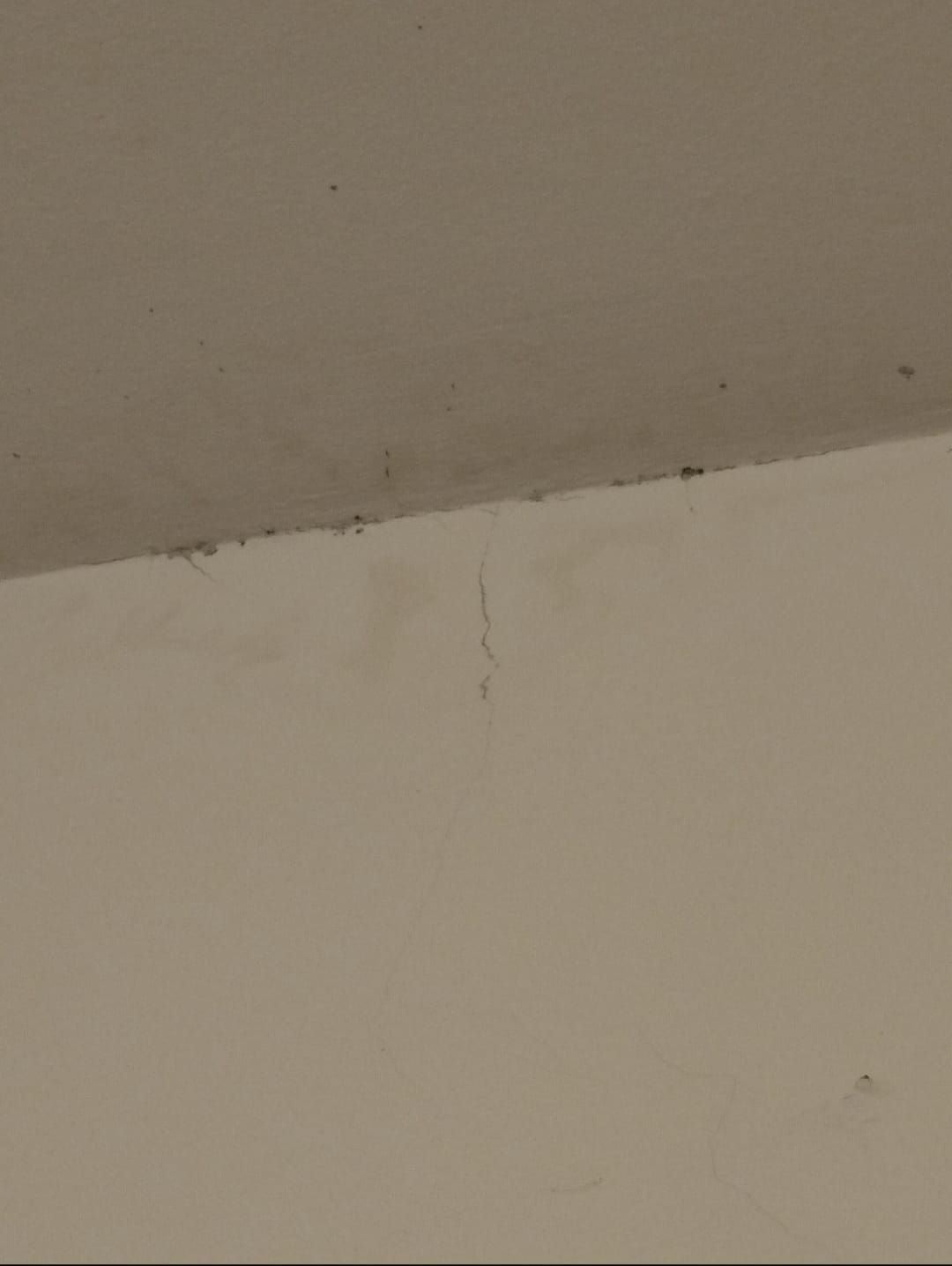 poi - Via dell'Aeroporto 45, Ferrara