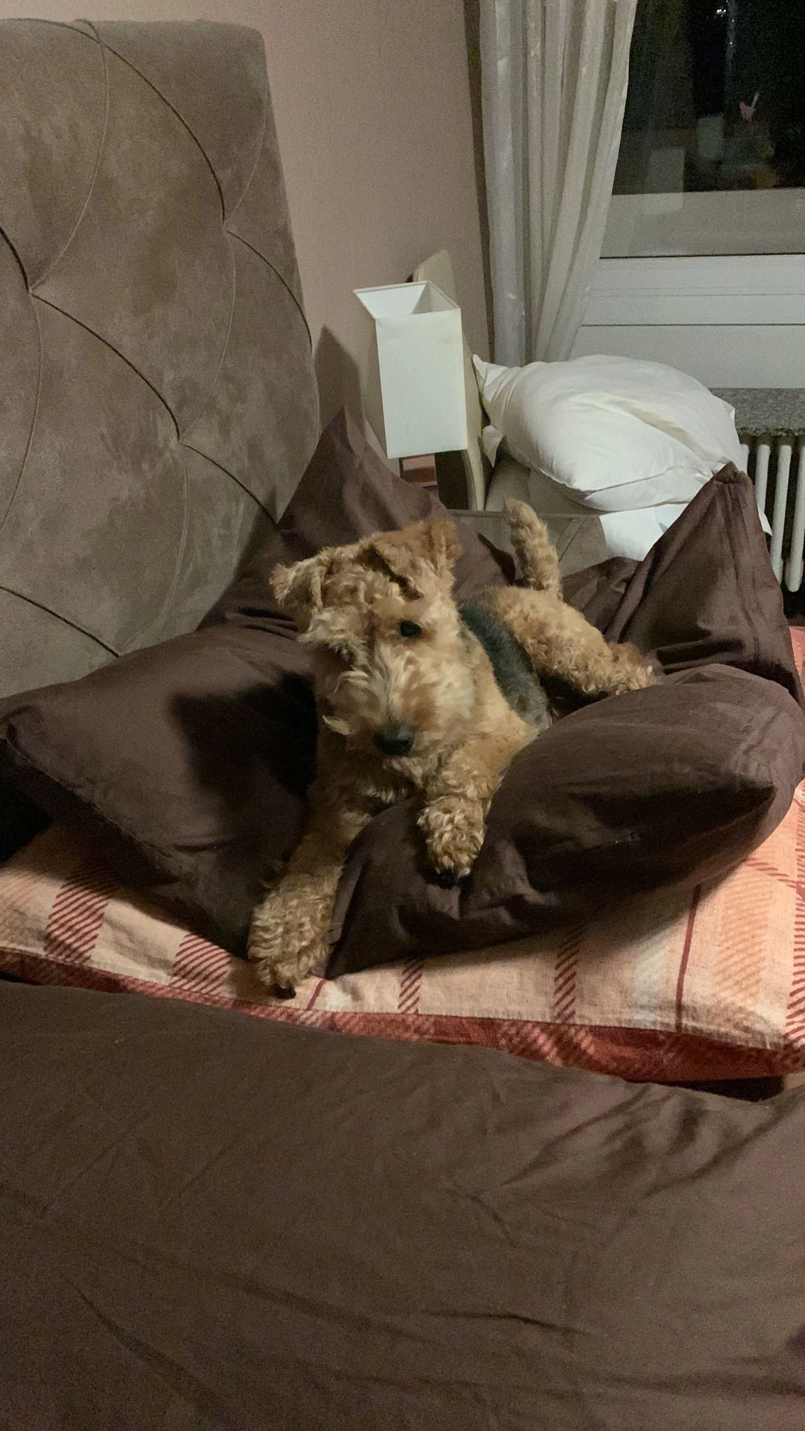 Lisa - Spenrather Weg, Köln