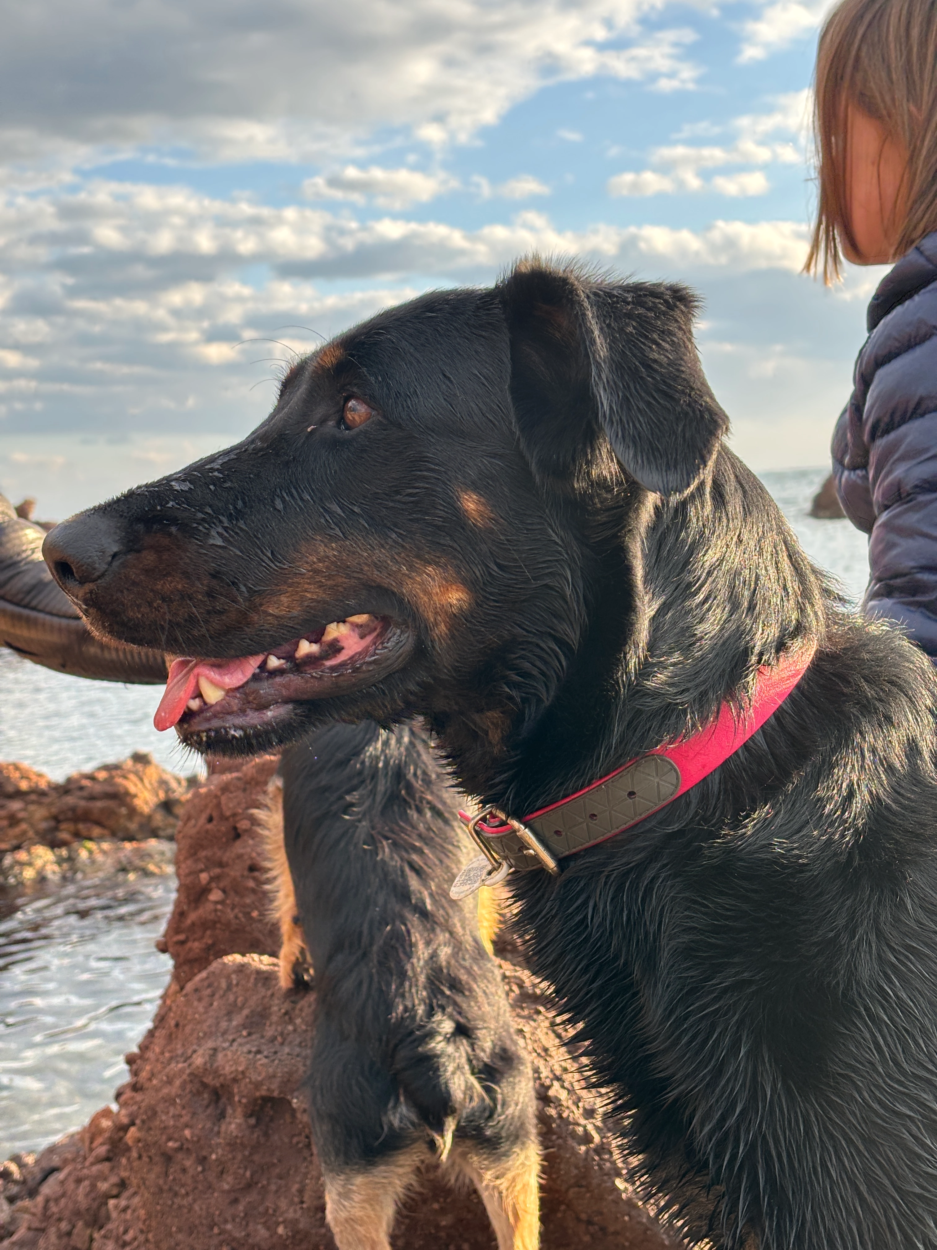 Tea - 9 Chemin du Garandou, Arles