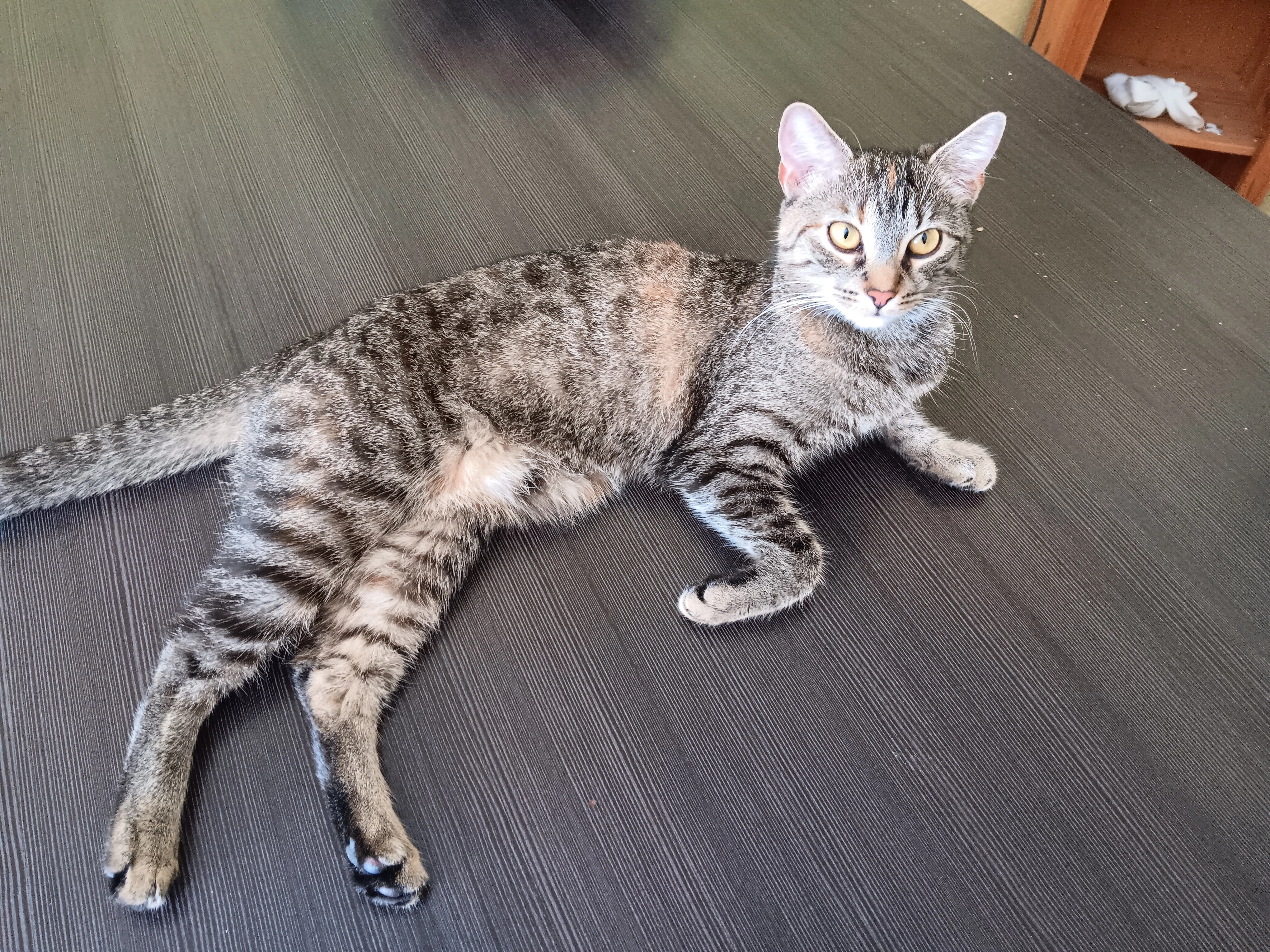 Luna - Im Rosenhof, Hartheim am Rhein