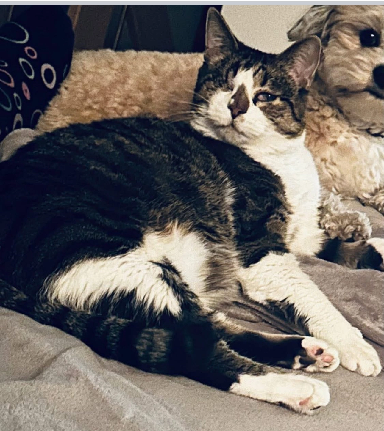 Seker - Egerlandstraße, Geretsried