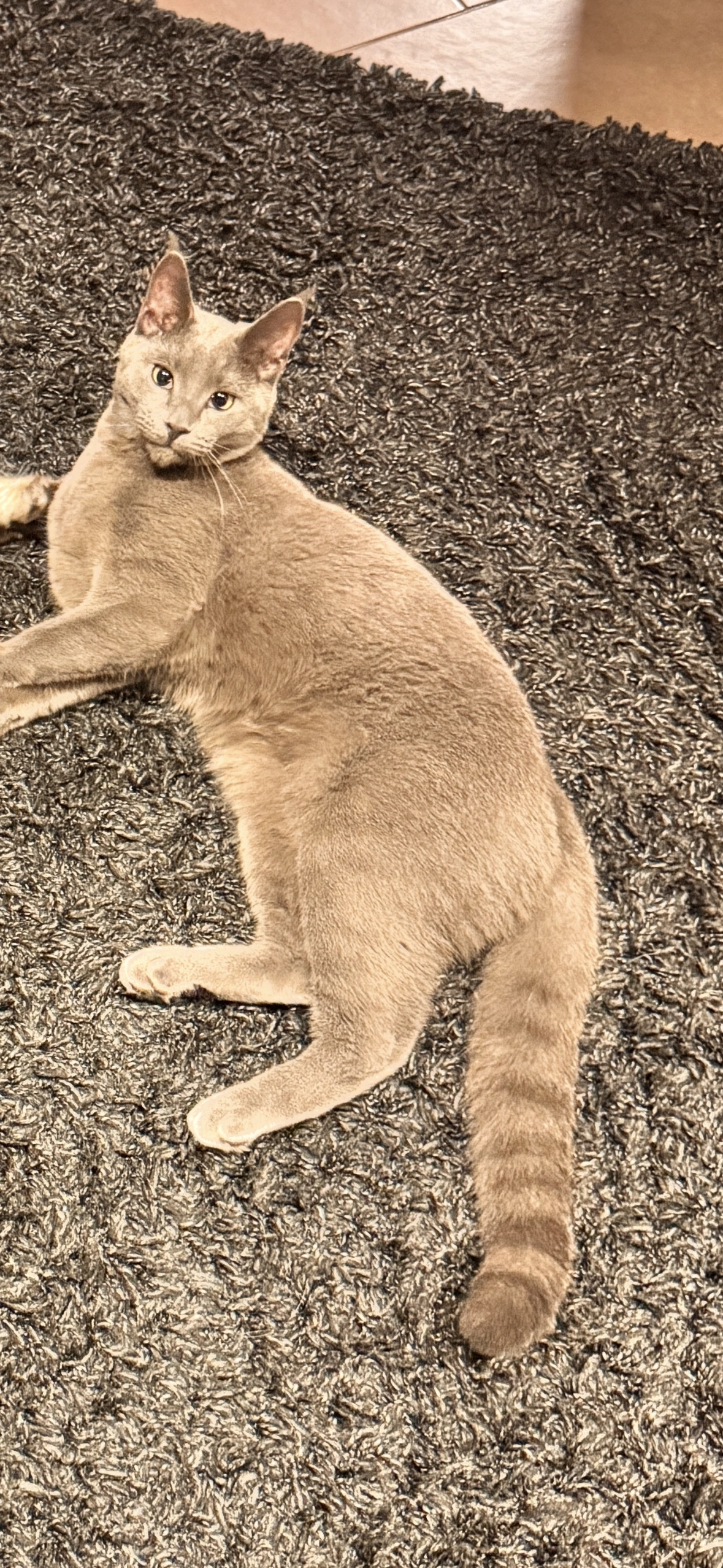 Bruno - Bachgasse, Gründau