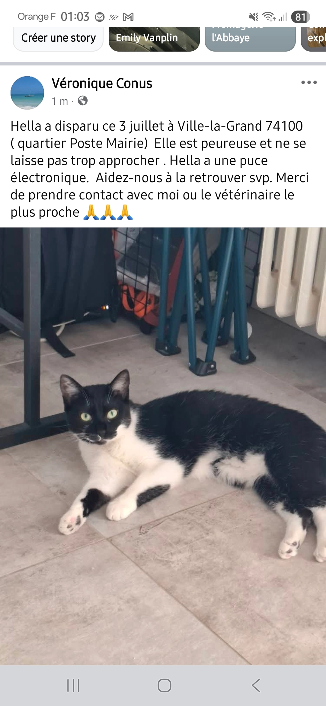 Hella  - 1 Impasse du Môle, Ville-la-Grand