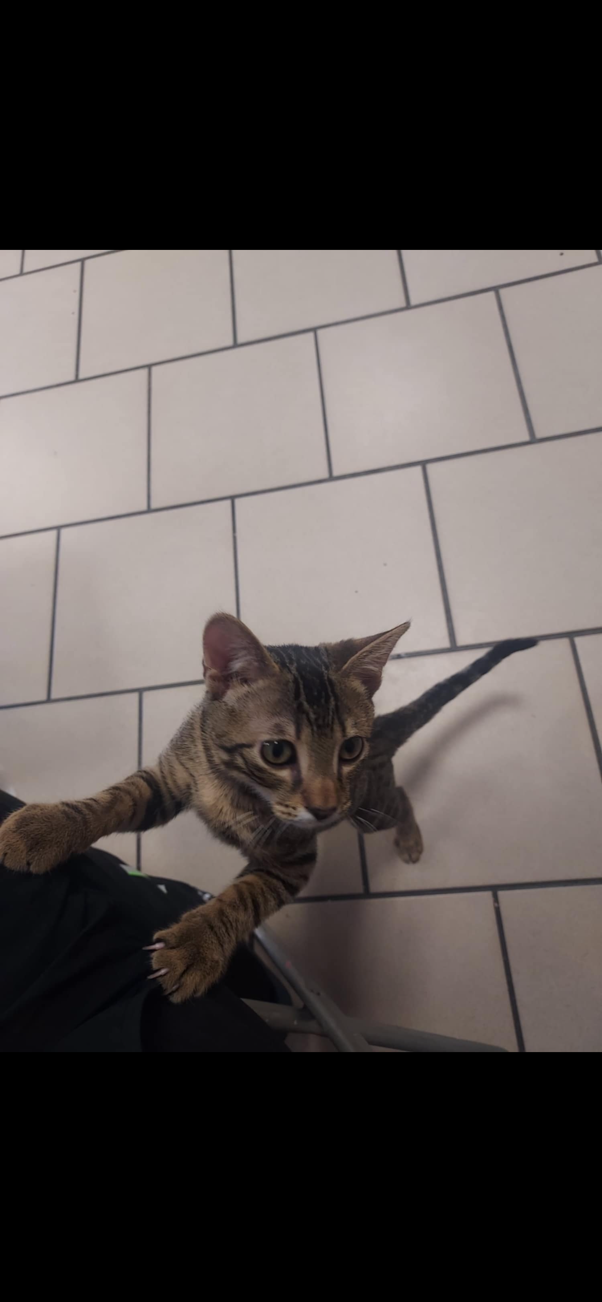 Pasca - Inselstraße, Werdohl