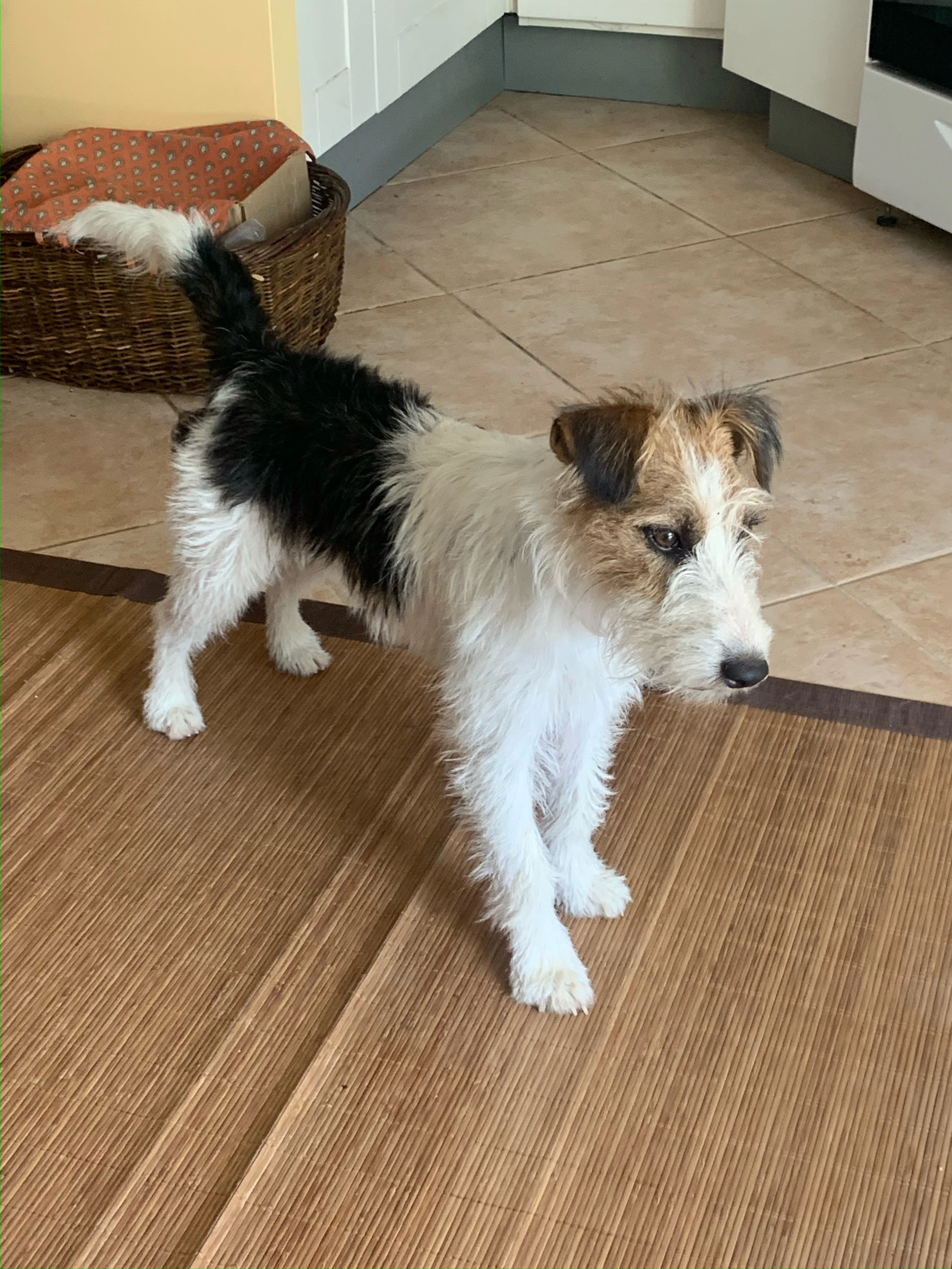 LILI - 355 Allée des Violettes, Cavalaire-sur-Mer