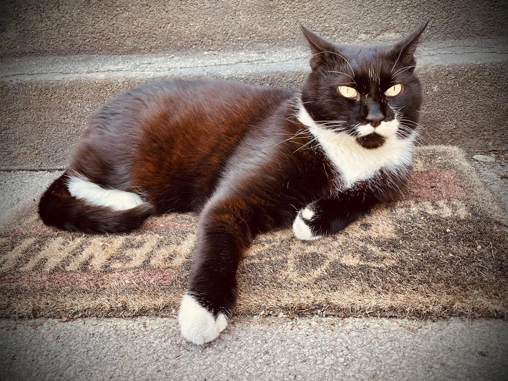 Charly - Vor der Unsohle, Warstein