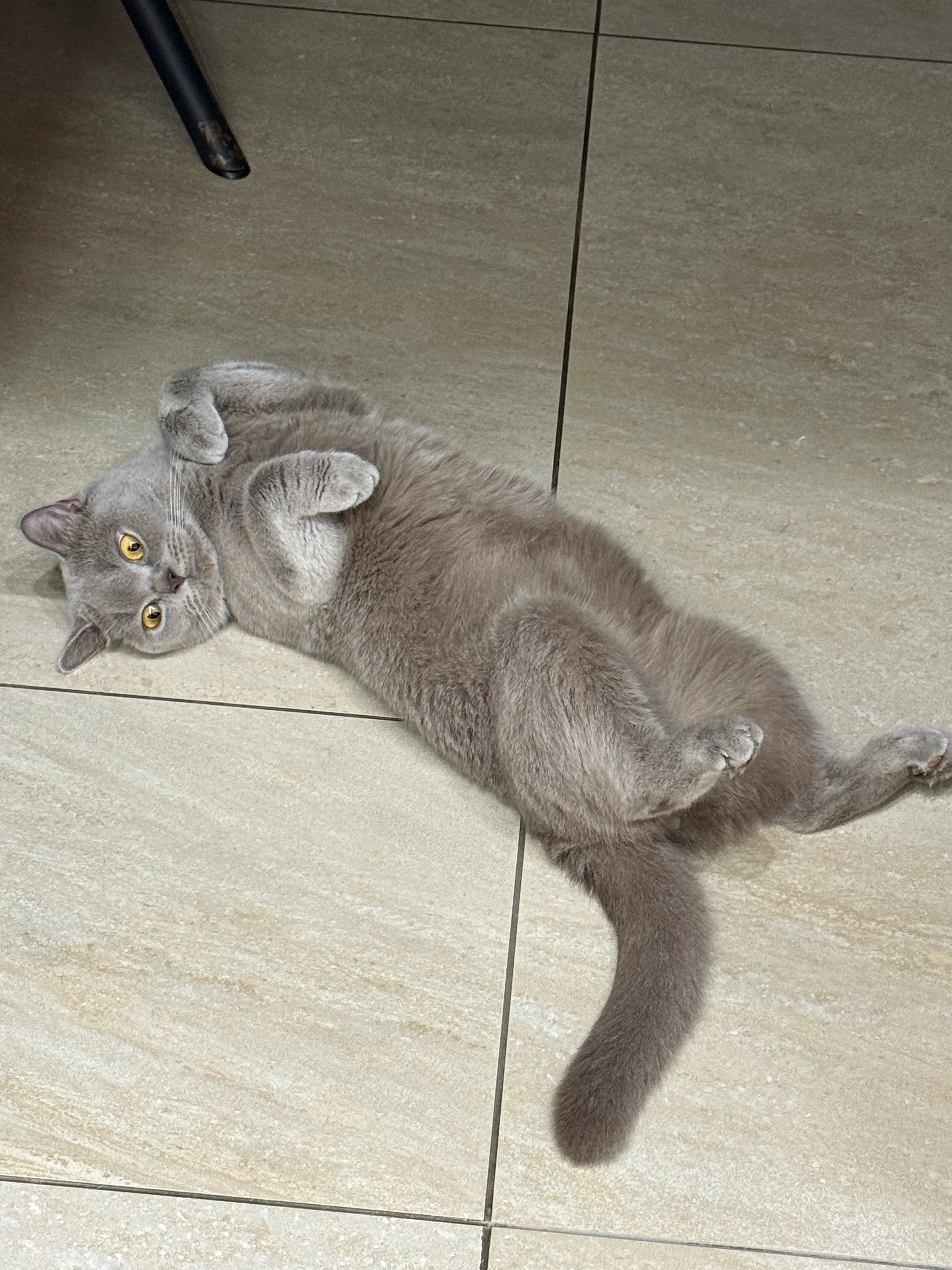 Boncuk  - Alte Straße, Mülheim an der Ruhr