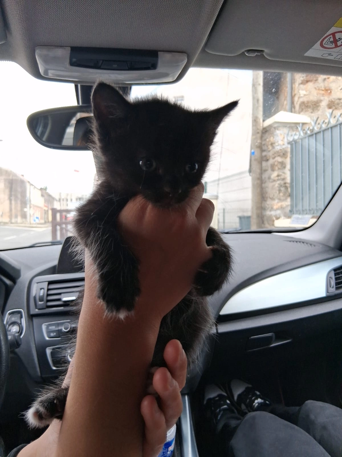 Mira - Avenue de Châteaudun, Dourdan