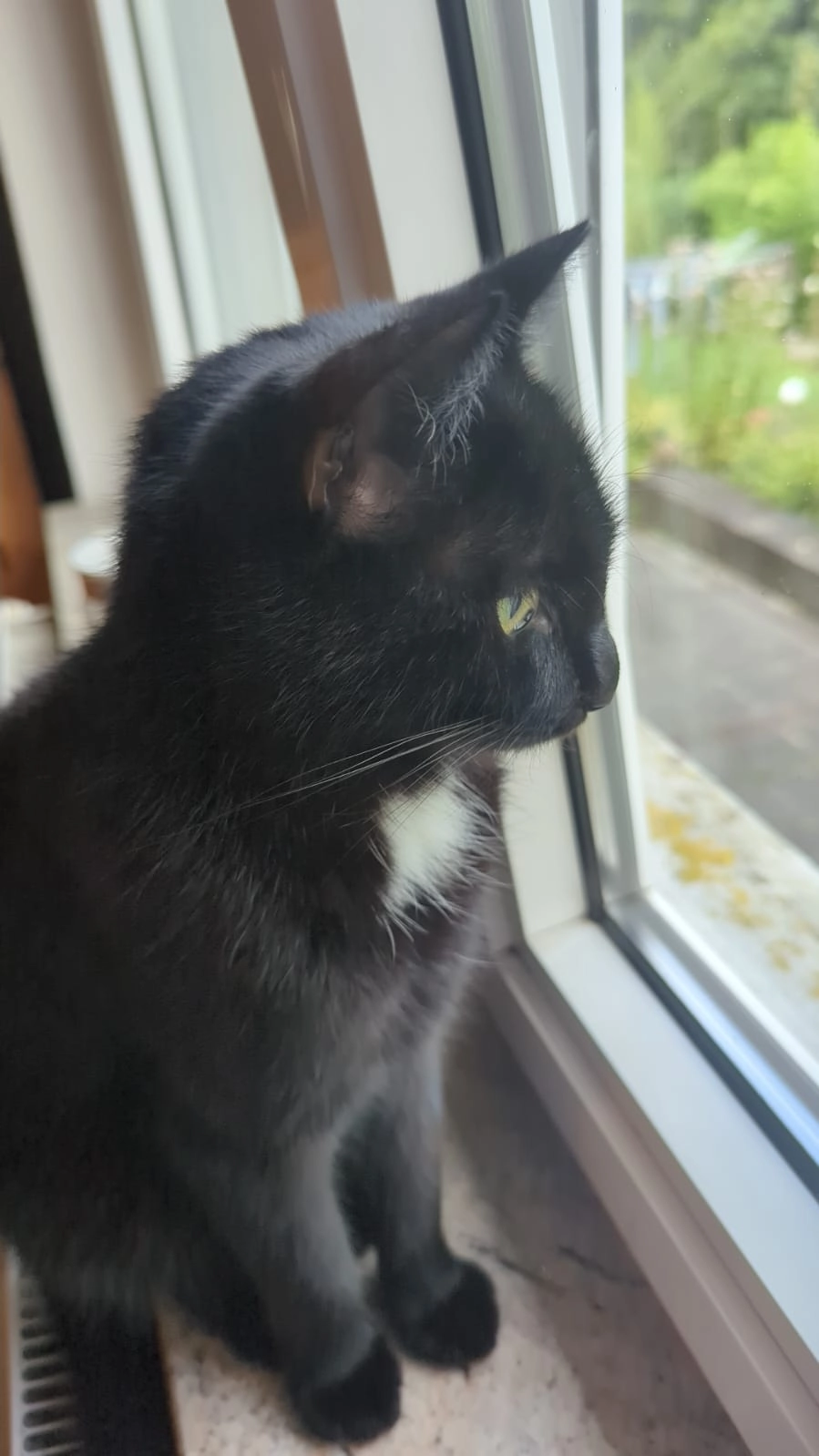 Knorke  - Im Alten Holz, Hagen