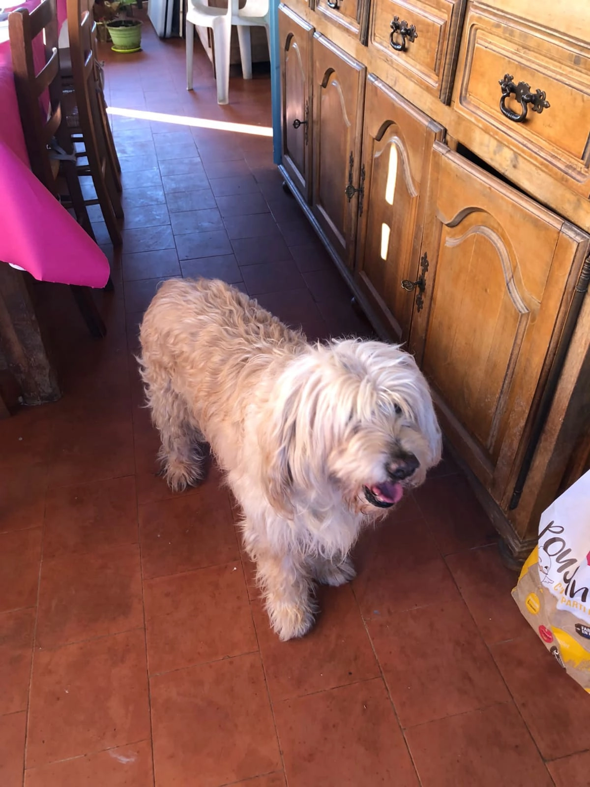 Gigi - Route de la Manda, Colomars